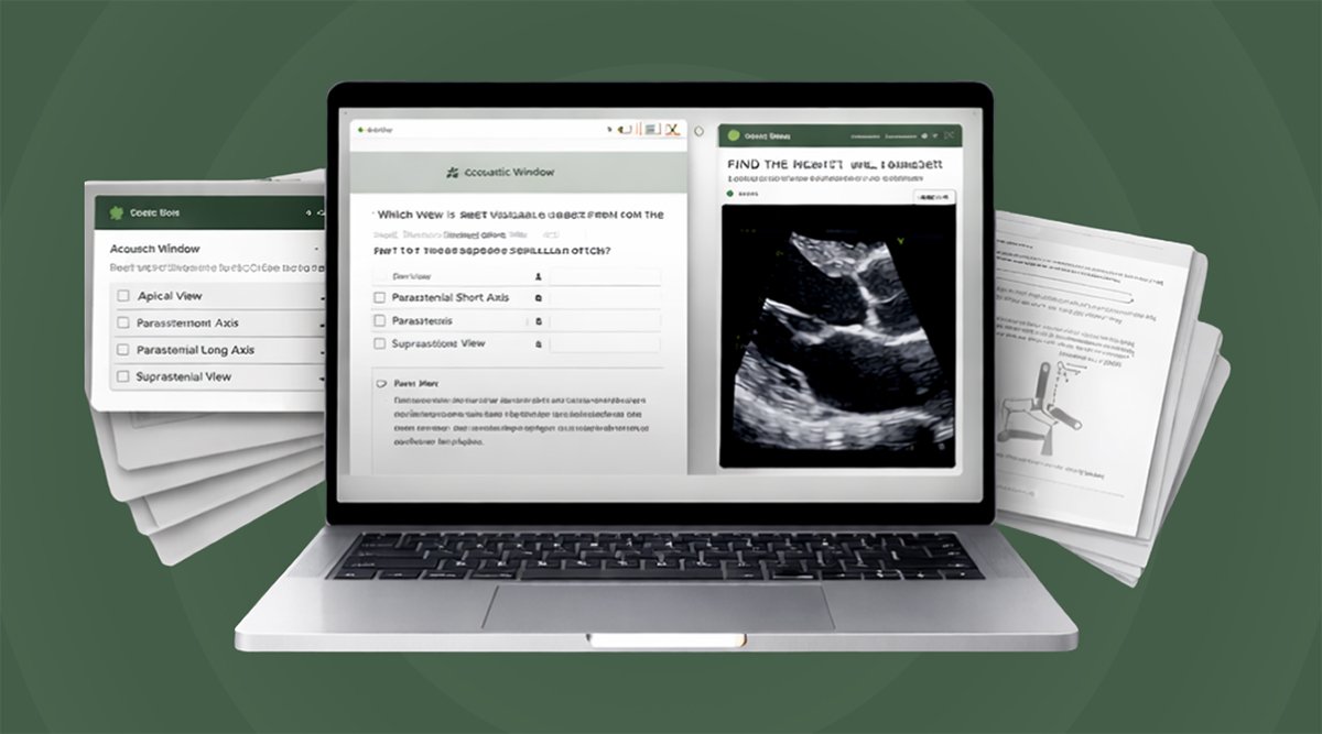 Laptop displaying ultrasound scans, with medical documents and papers surrounding it on a green background.