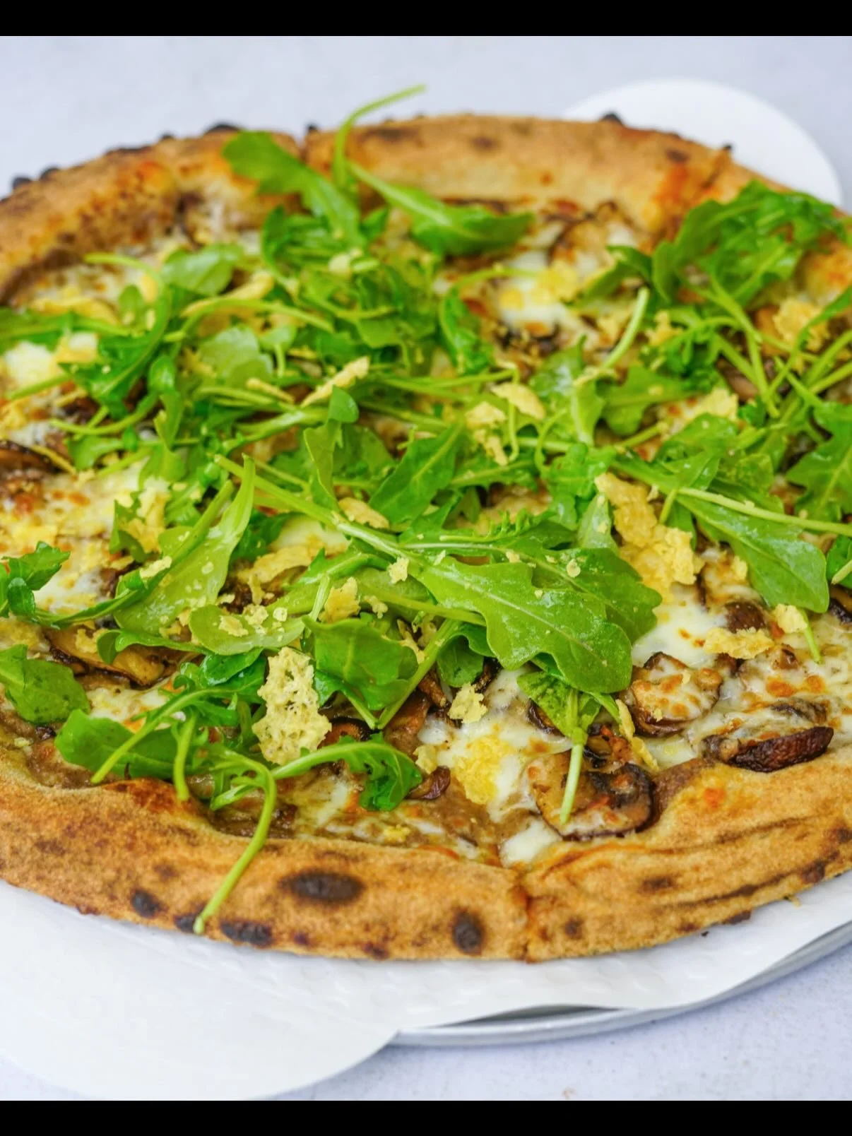 Independent &amp; Ingredient-Driven. 🍕🌱

For the last few years, Farina Rossa has been known as the &ldquo;pizza in the taproom.&rdquo; But as we move into 2026, we are stepping into our own light.

We were founded on a mission to prove that pizza 