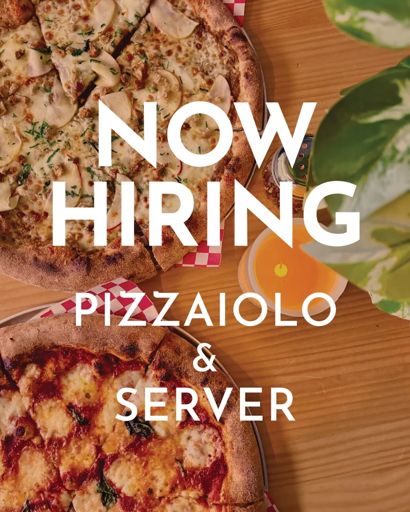 Join our team!🍕 We&rsquo;re looking for a rockstar pizzaiolo and server. All you have to do is email your resume to FarinaRossaKitchen@gmail.com.

💥SERVER | 📍NORTHEAST MINNEAPOLIS
This is a unique opportunity for an experienced server who thrives 