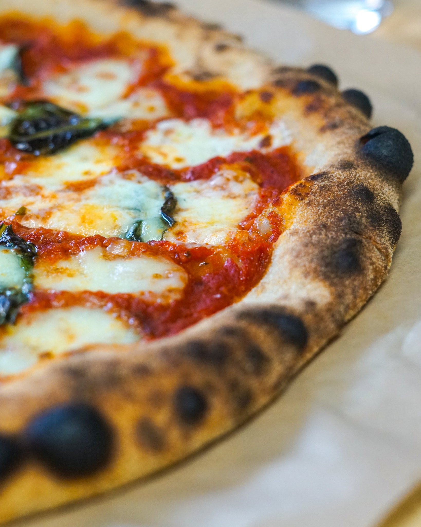 Close-up of a pizza with melted cheese, tomato sauce, and basil.