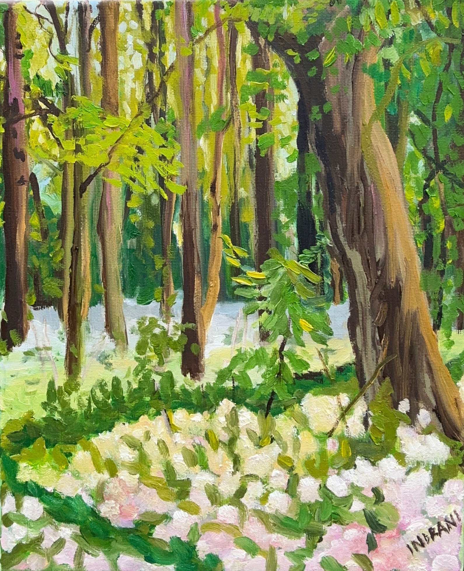 A forest scene - oil on canvas - 24x30 cm - 2025
