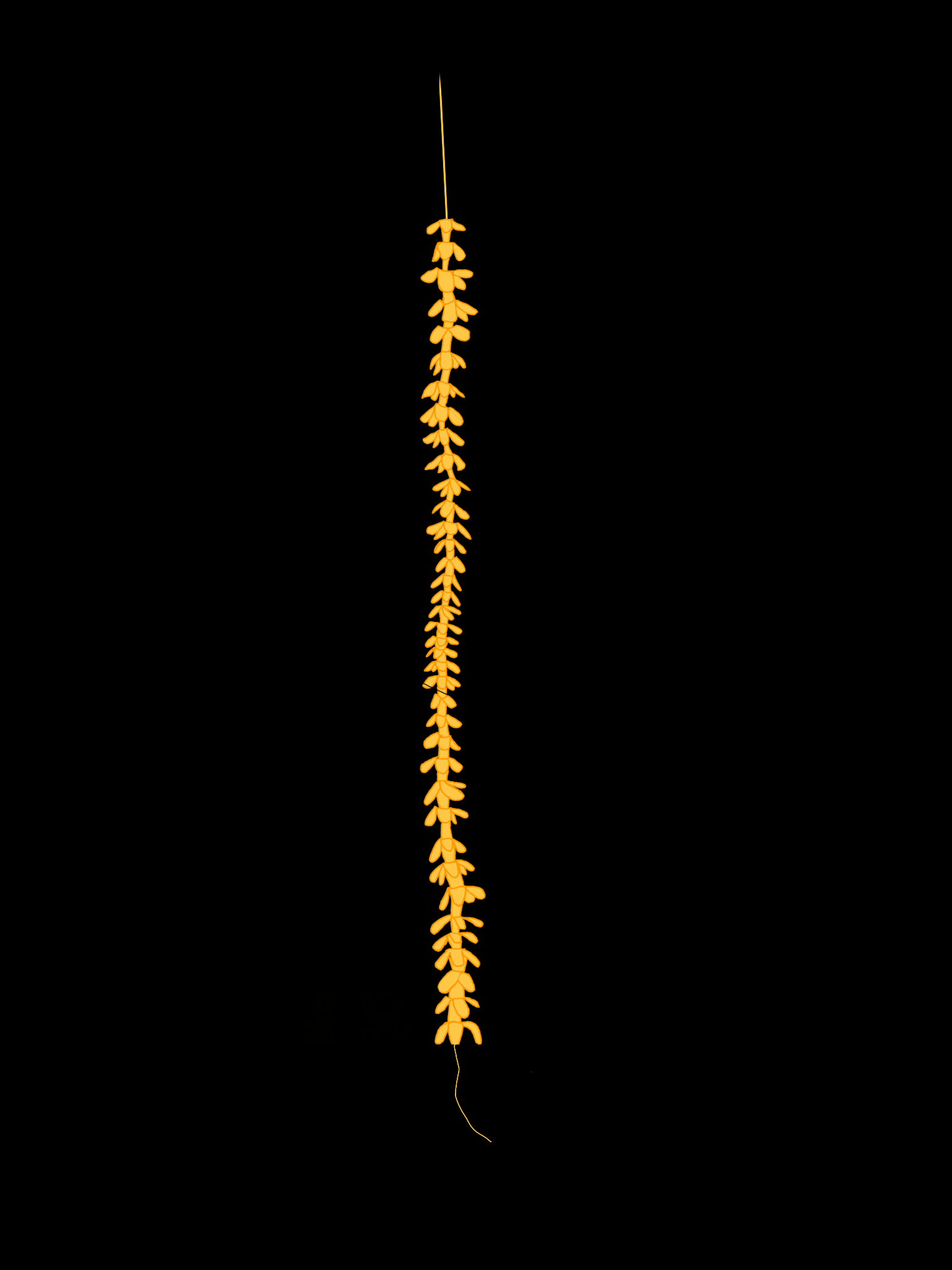 Untitled 11.png