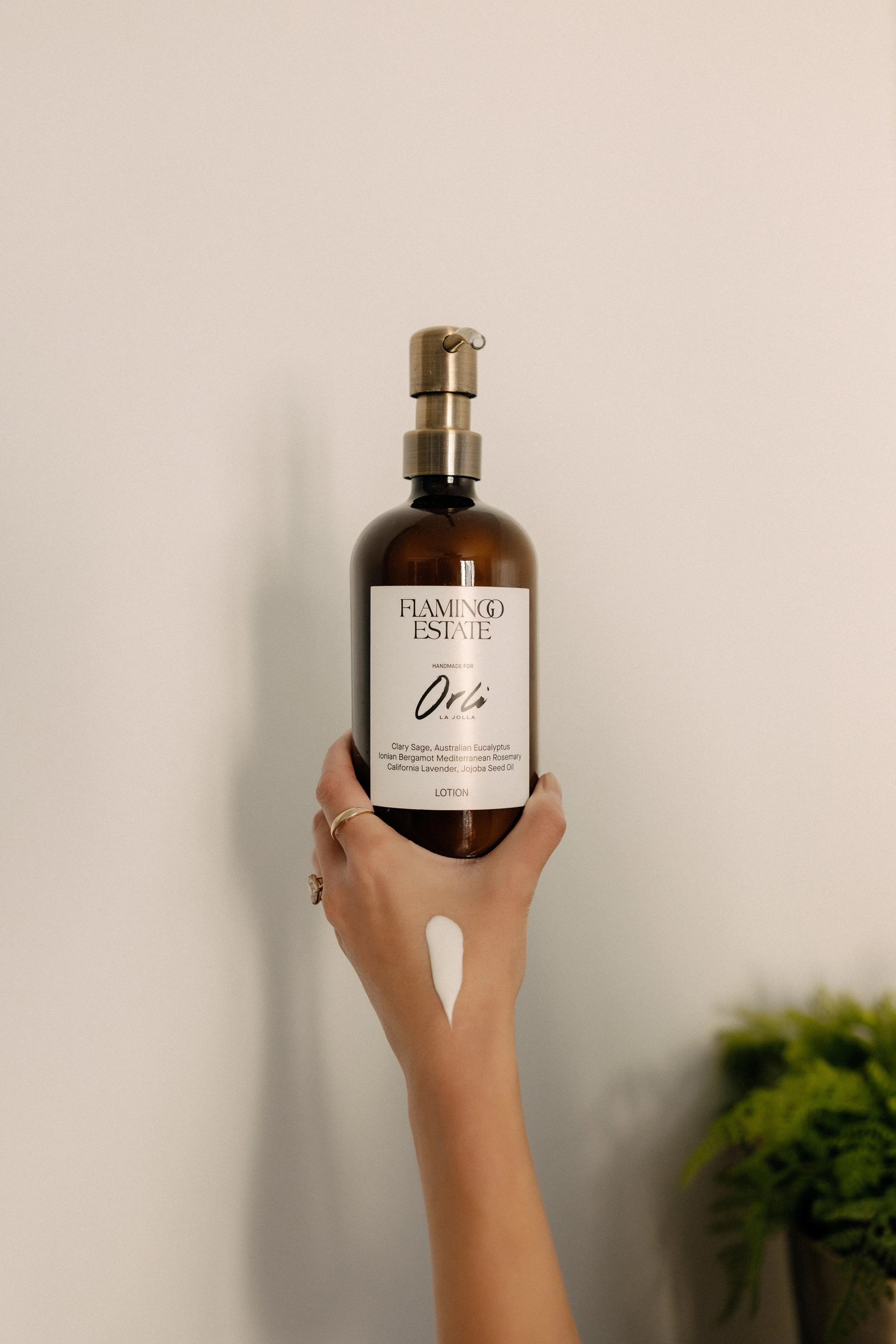 HelloHorizon - ORLI.Photos-2.jpg