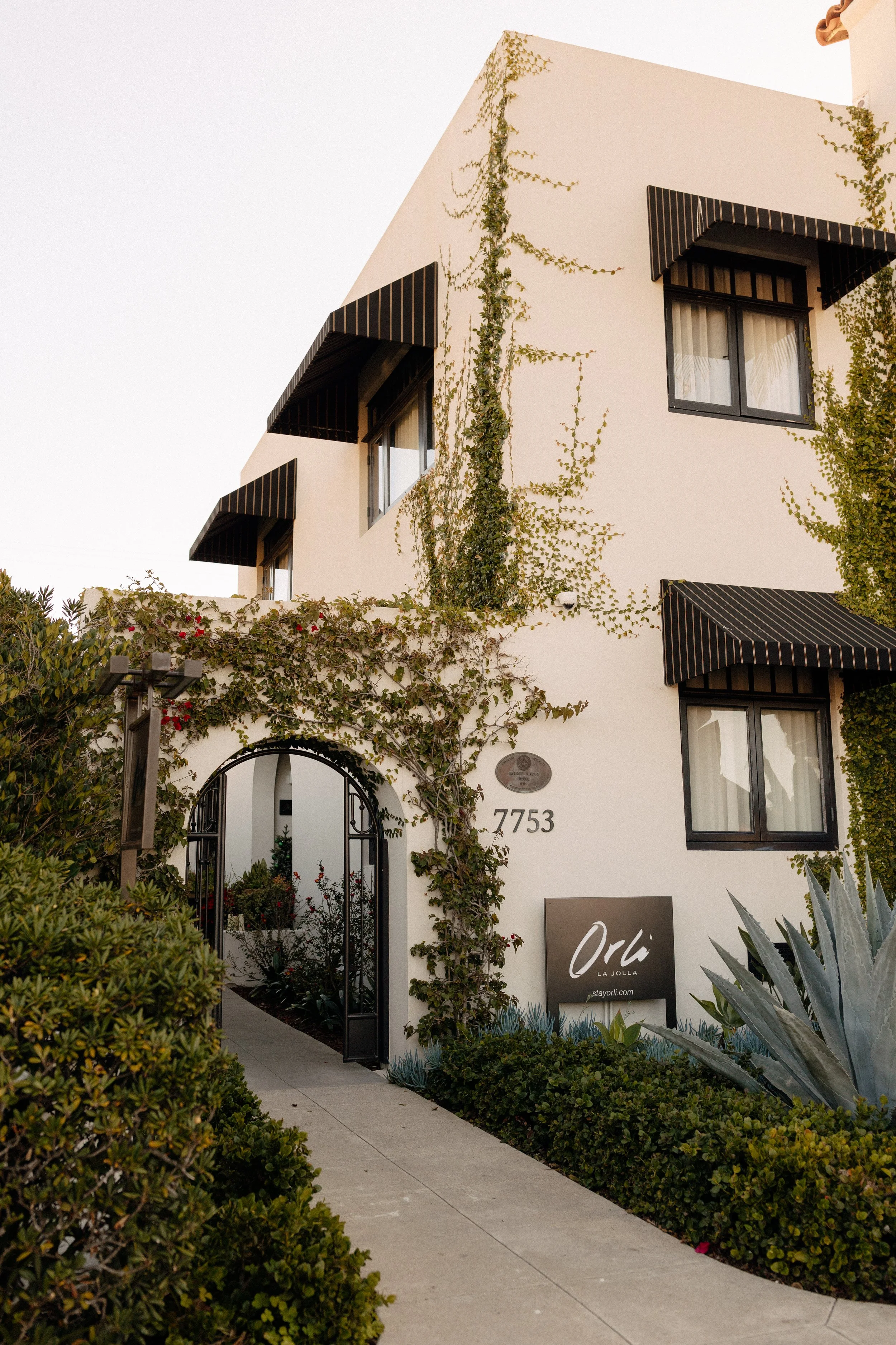 HelloHorizon - ORLI.Photos-59.jpg