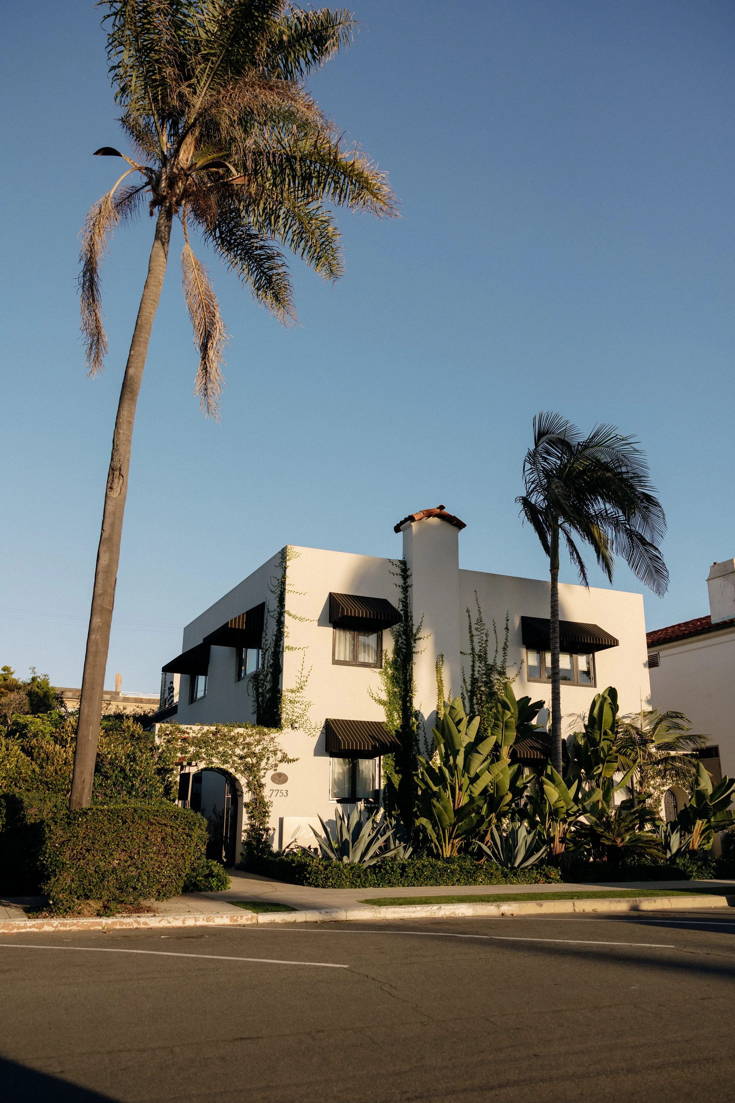 HelloHorizon - ORLI.Photos-20.jpg