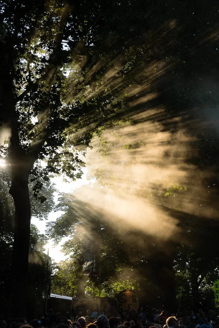 Sunlight filtering through tree branches creating rays of light in a park with a crowd of people below.