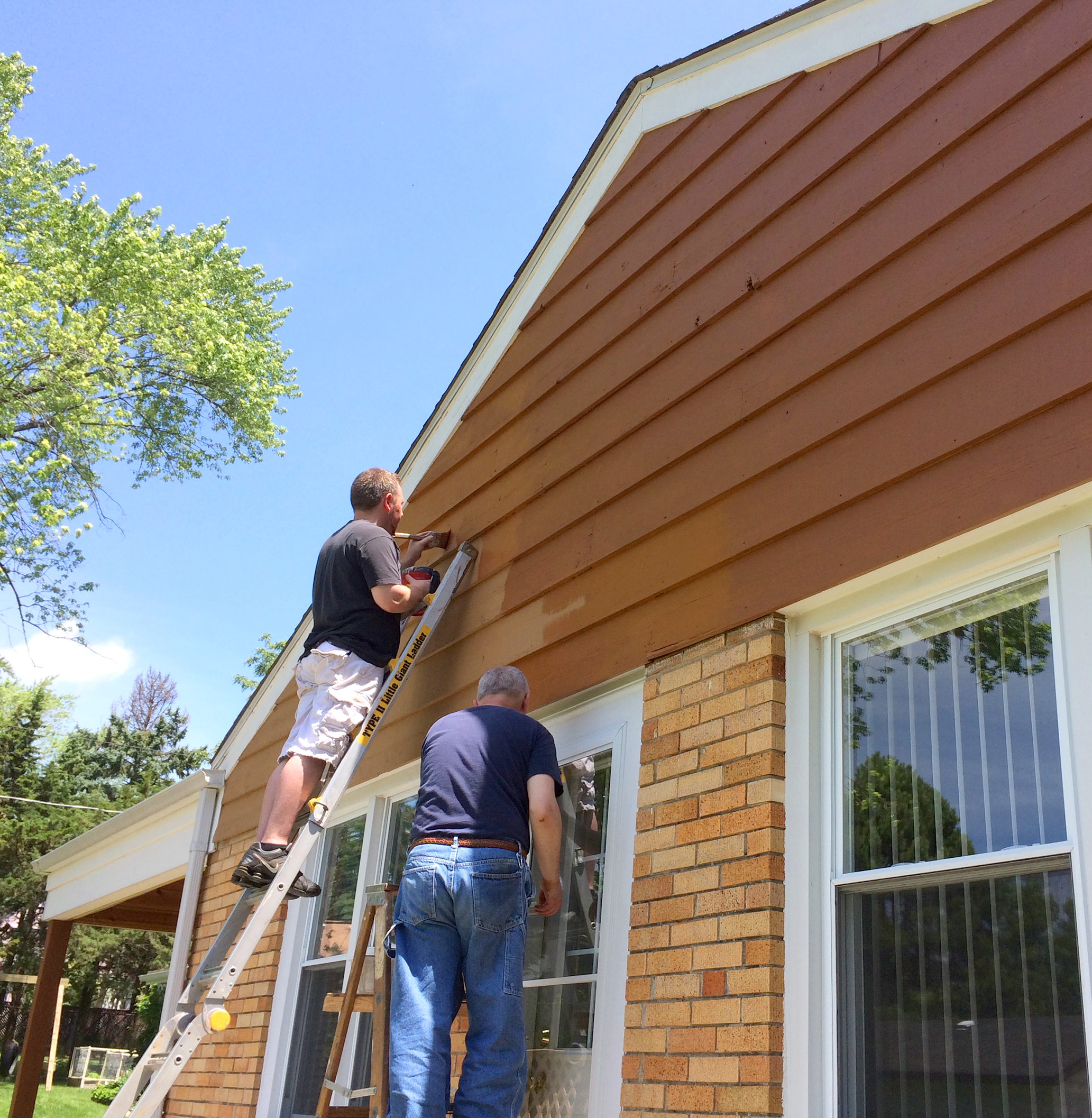 Staining a house.png