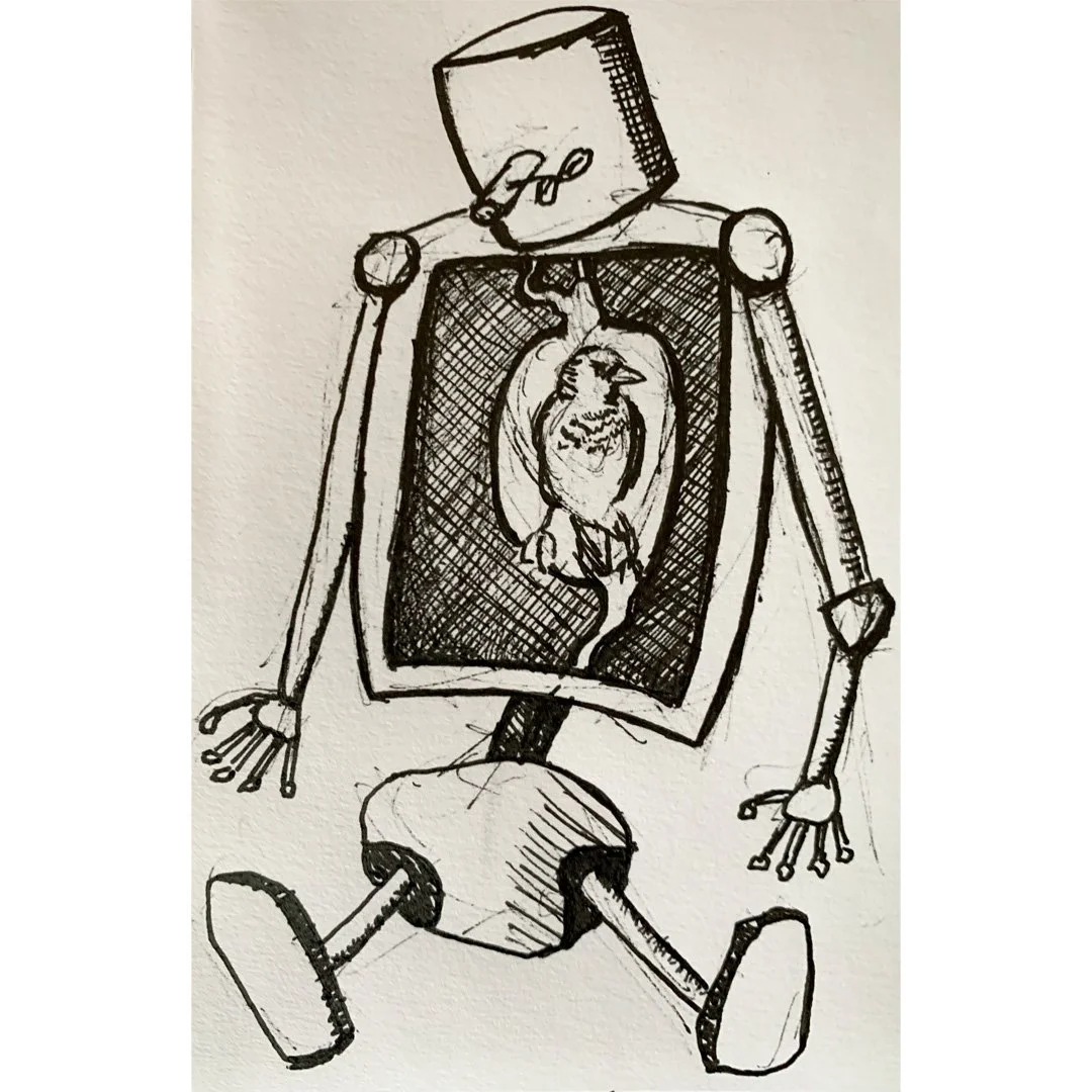 sparrow in my heart drawing by nick mott