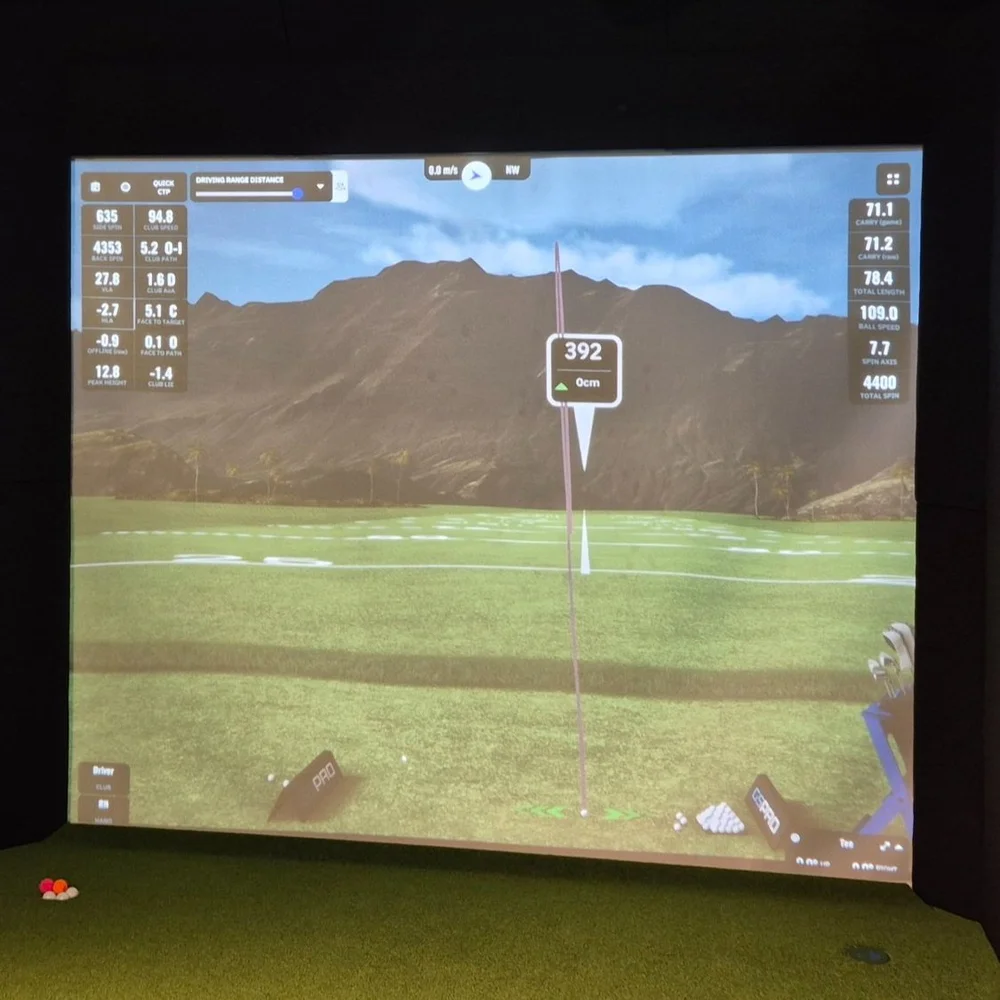 Impact projection screen