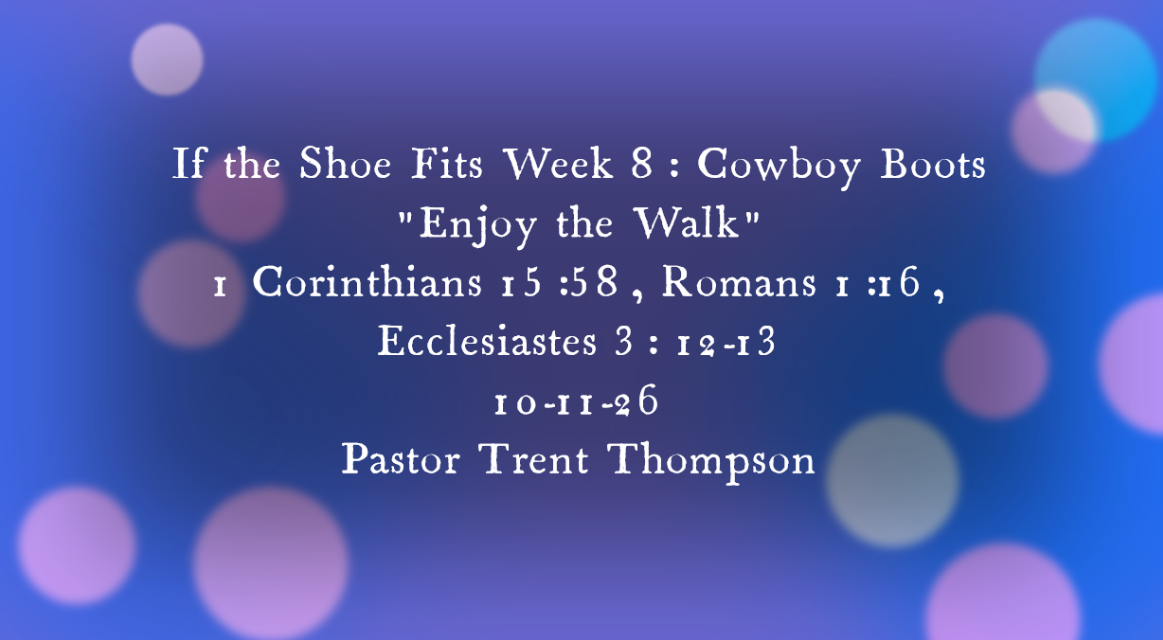 “cowboy boots” 