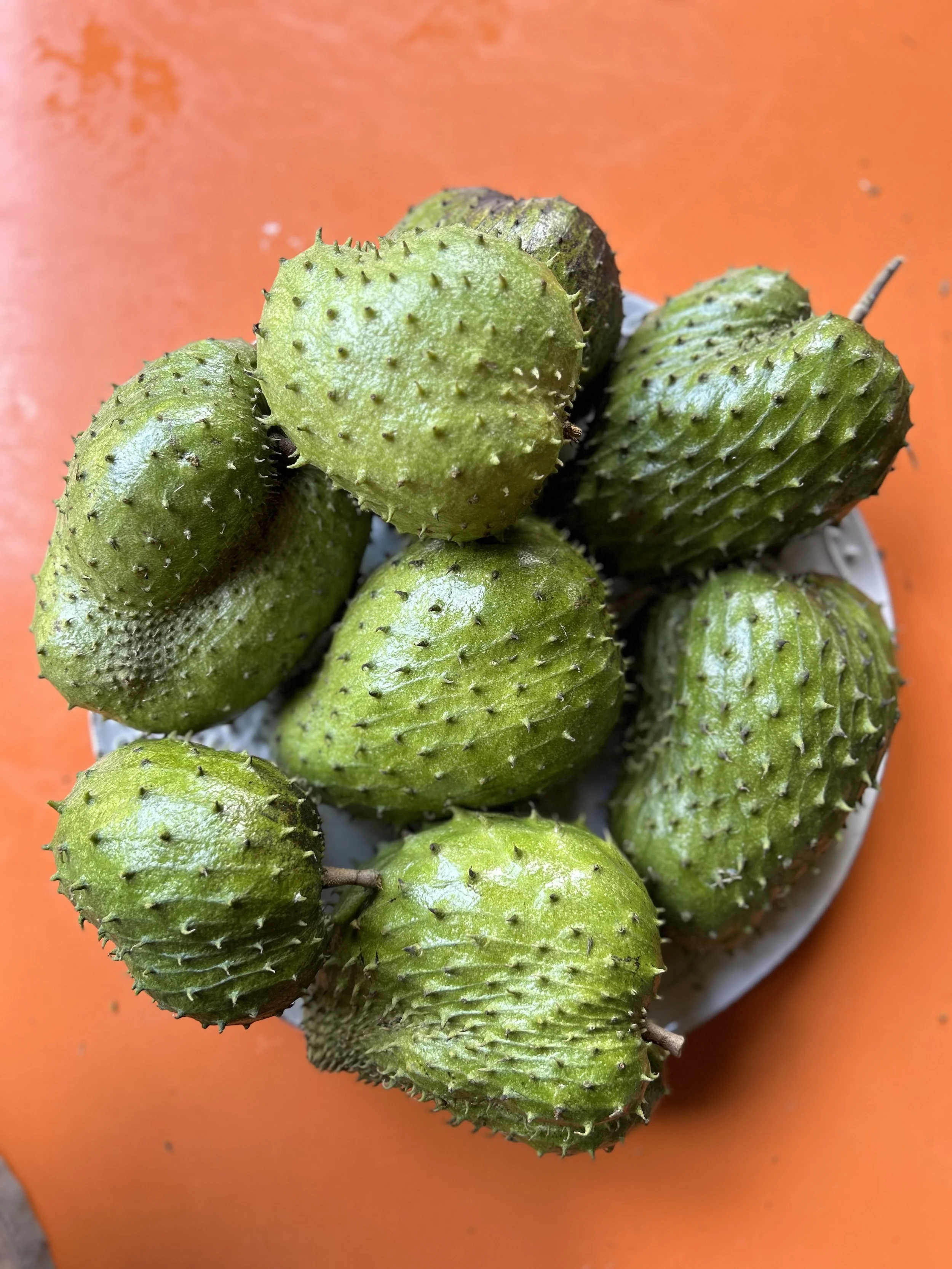 green.jpeg