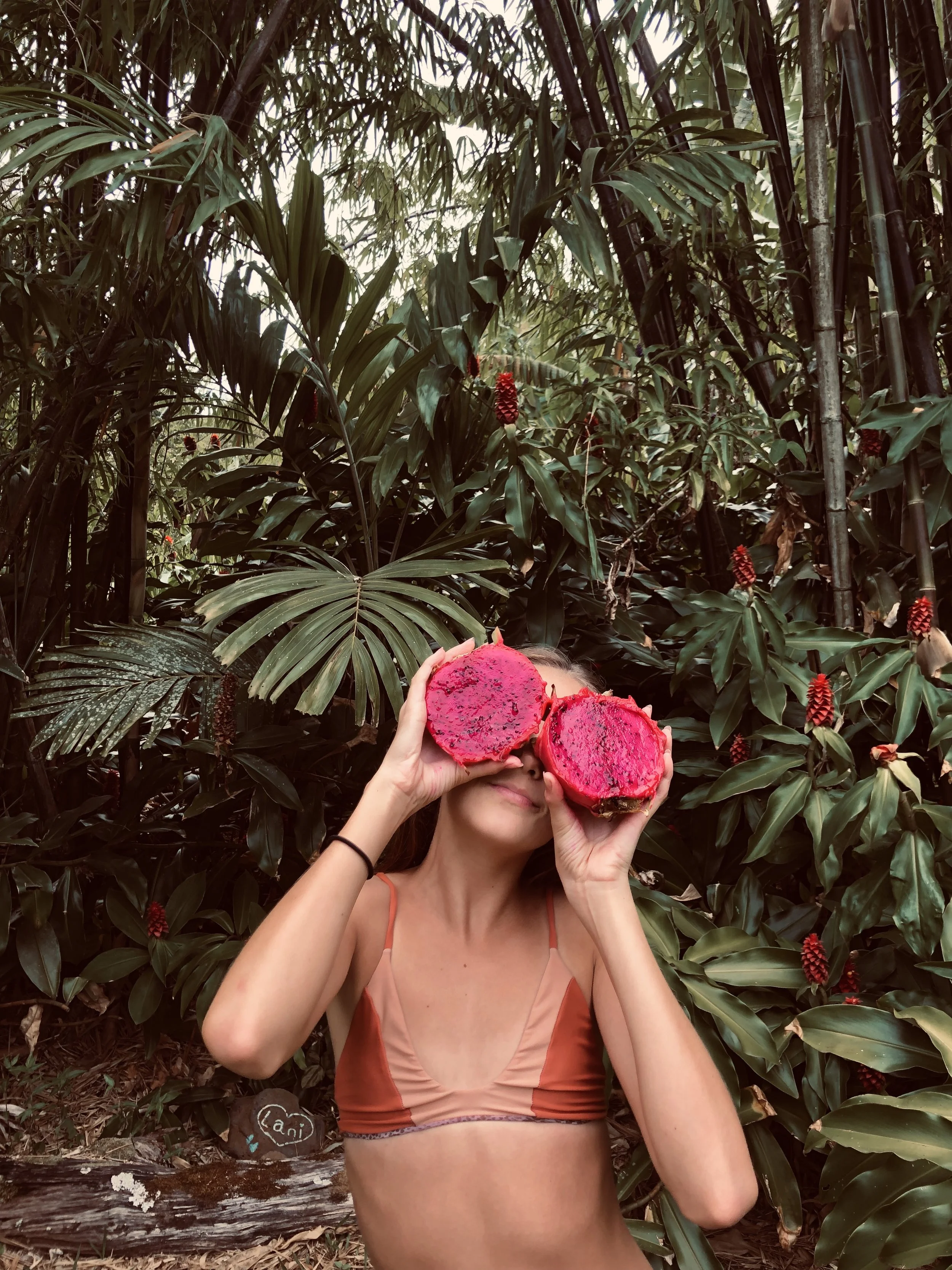 Dragonfruit.jpeg
