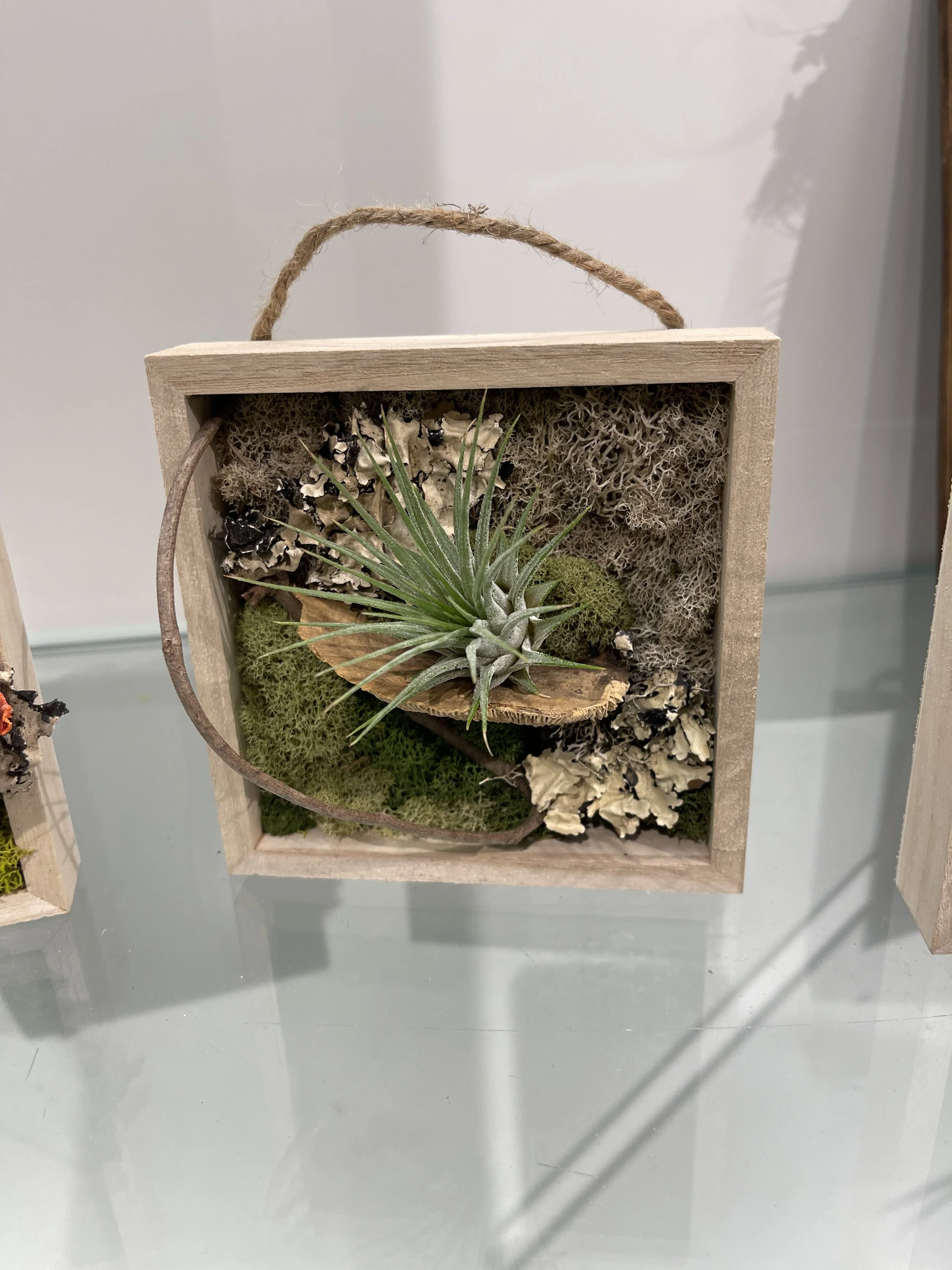 A wooden box filled with preserved moss, plants, and lichen, with a jute handle on top.