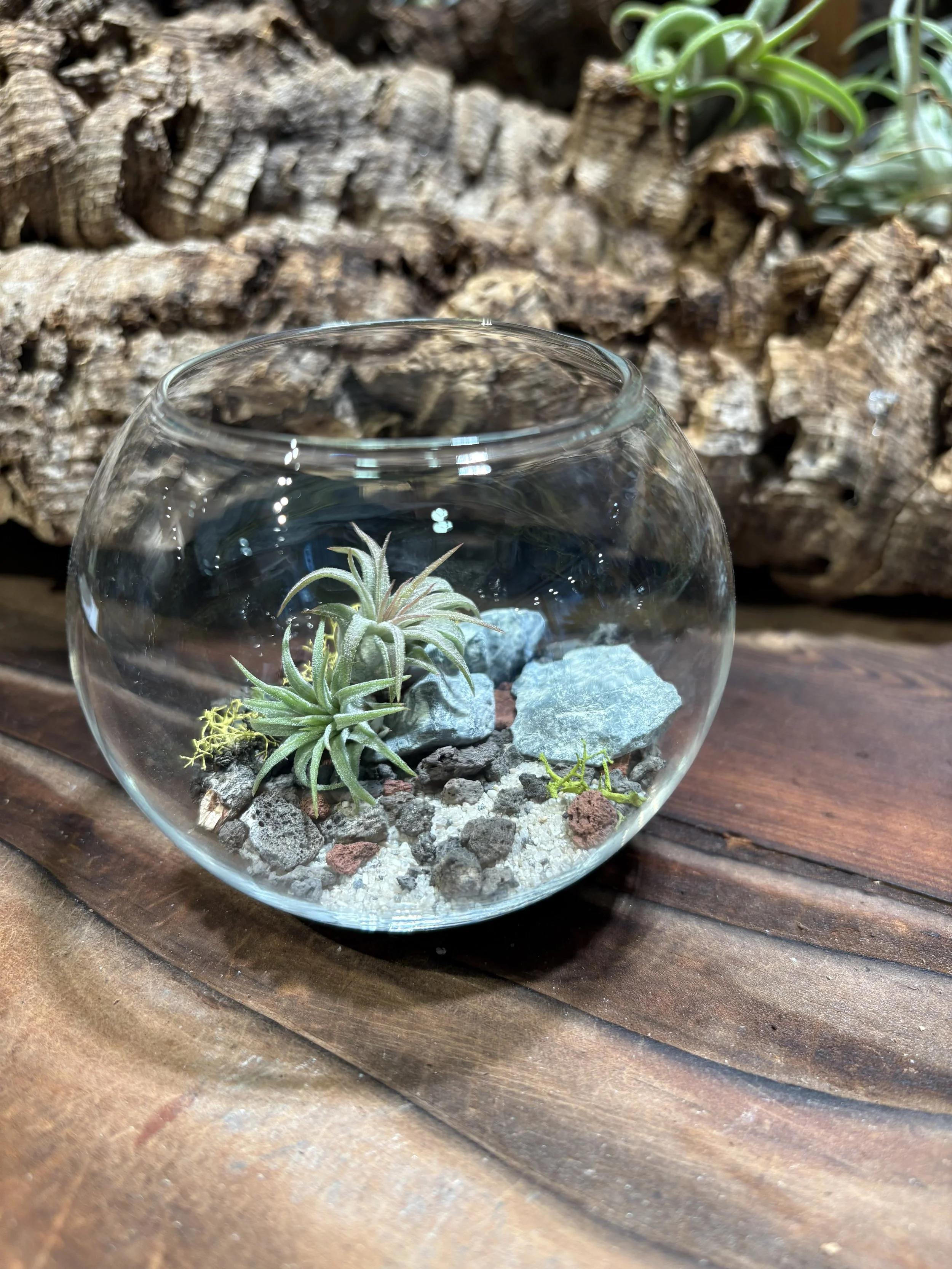 A glass bowl with small plants, rocks, and sand, placed on a wooden surface with a textured backdrop of bark and some green plants.