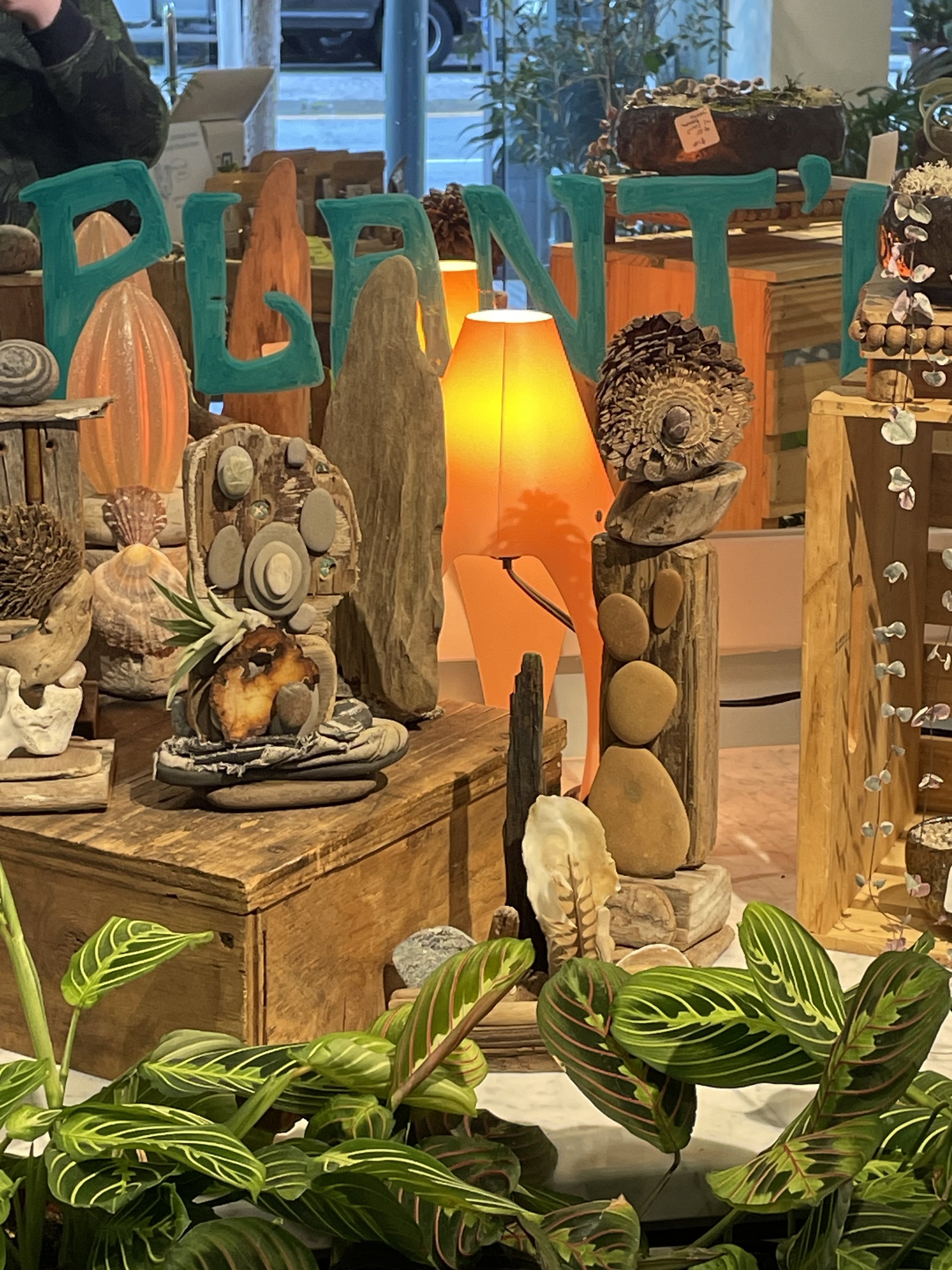 Display of coastal and natural decor including various shells, stones, and wood pieces with large colorful letters spelling out 'PLANT'.