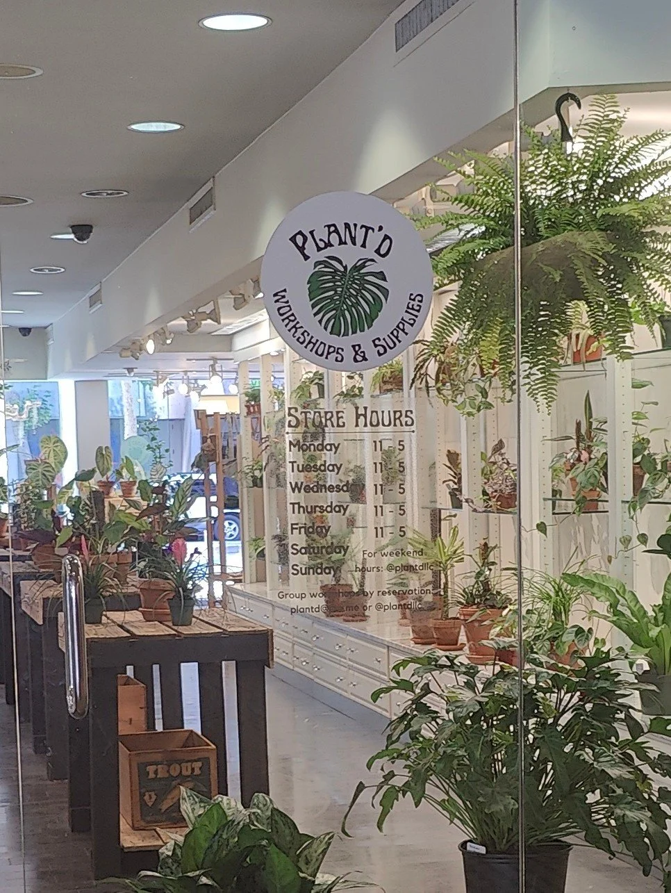 View of the entrance to Plant'O Workshops & Supplies store with plant displays, a hanging fern, store hours sign, and interior lighting.