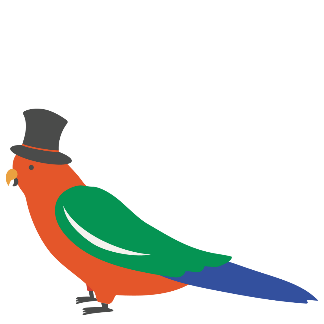 Rainbow Parrot wearing a black and red top hat
