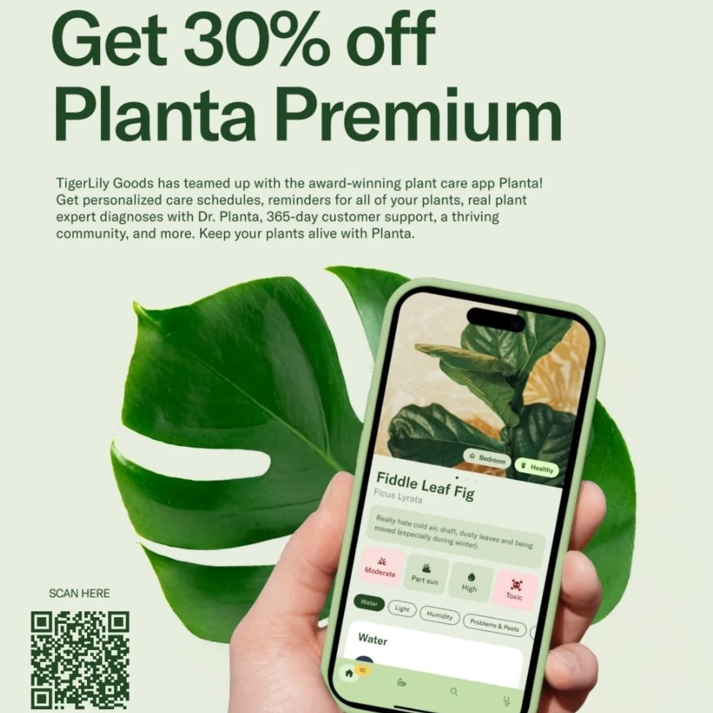 Hey, check it out! We've partnered with the amazing folks at Planta to offer you 30% off a Planta Premium Membership... just use the link in our bio! 🌿 
I've honestly never put a lot of trust in plant apps and feel they often miss the mark, but have