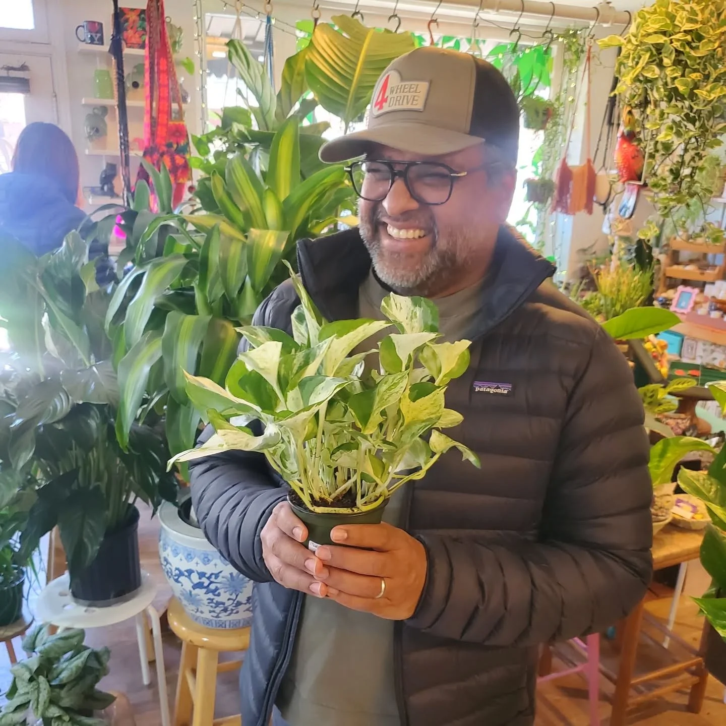 I just LOVE making people smile by finding that special plant they've been searching for. So happy you got your manjula 💚

#plantsmakepeoplehappy #letmebeyourplantlady #plantfam #plantlife #plantcrush #plantsofinstagram #instaplants #houseplantsofin