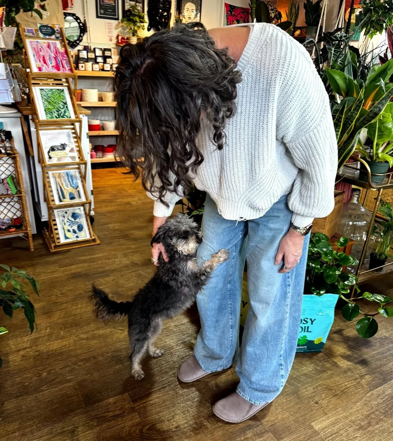 I'm so lucky to always get the sweetest little leg hugs from Frankie, the very best little woofie there is. ❤️