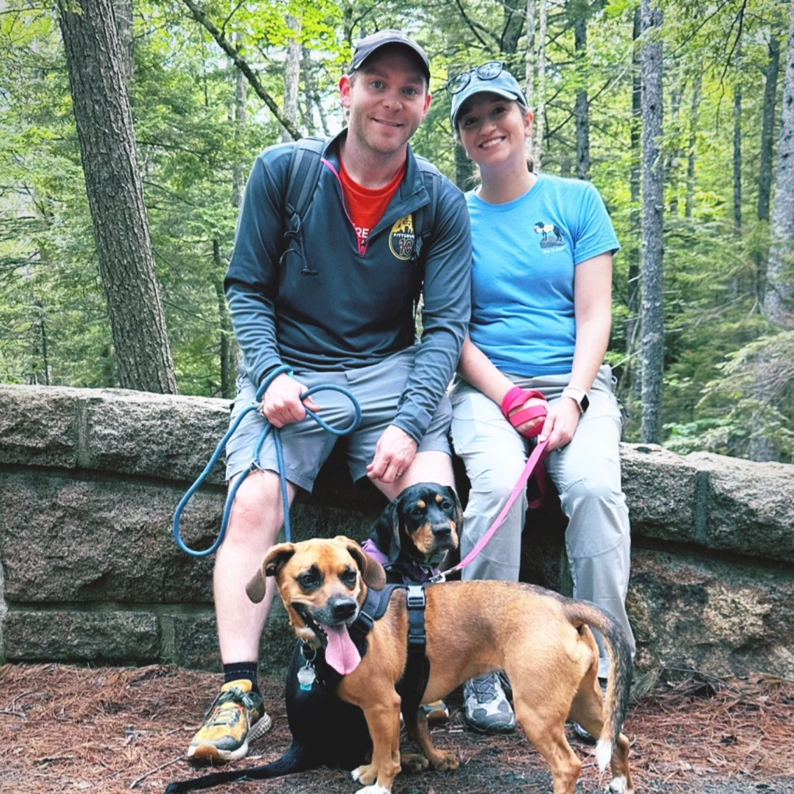 A couple sitting on a stone wall in a forest with their two dogs, smiling at the camera.