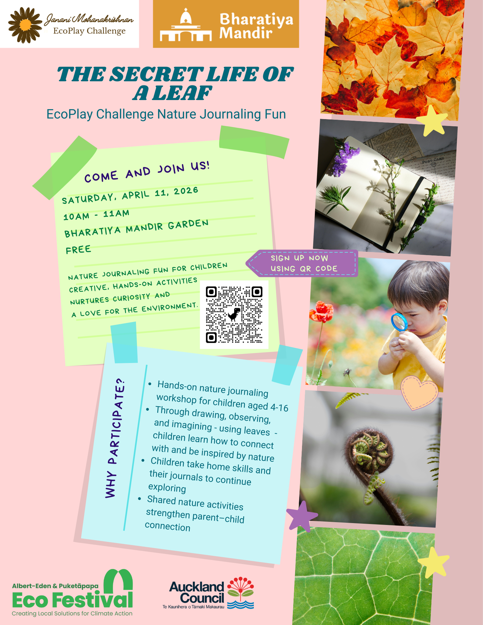 The Secret Life of a Leaf 