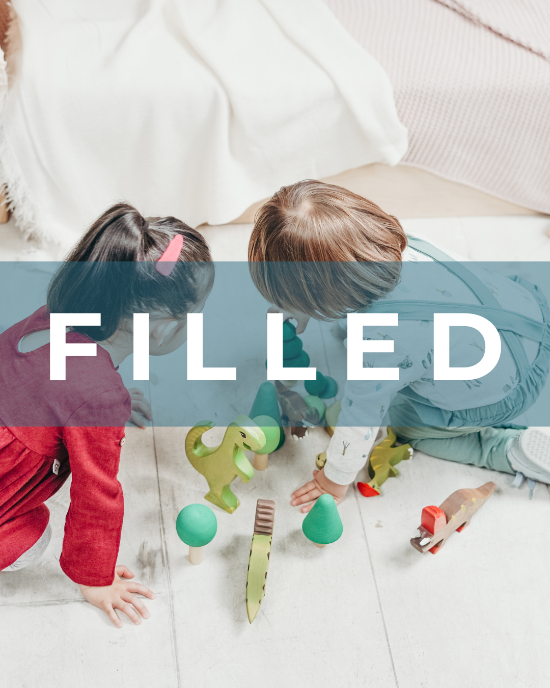 Full-Time Nanny &amp; Family Sidekick Needed
