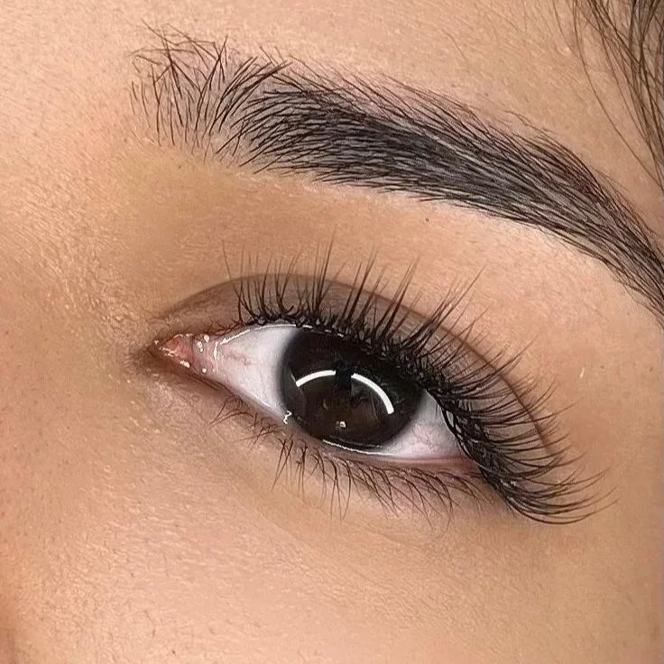 Classic lash extensions with a groomed brow on a brown eye