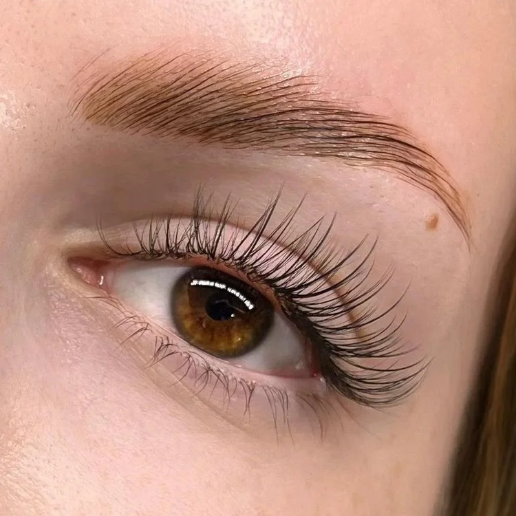 Laminated, brushed-up brow with lash extensions