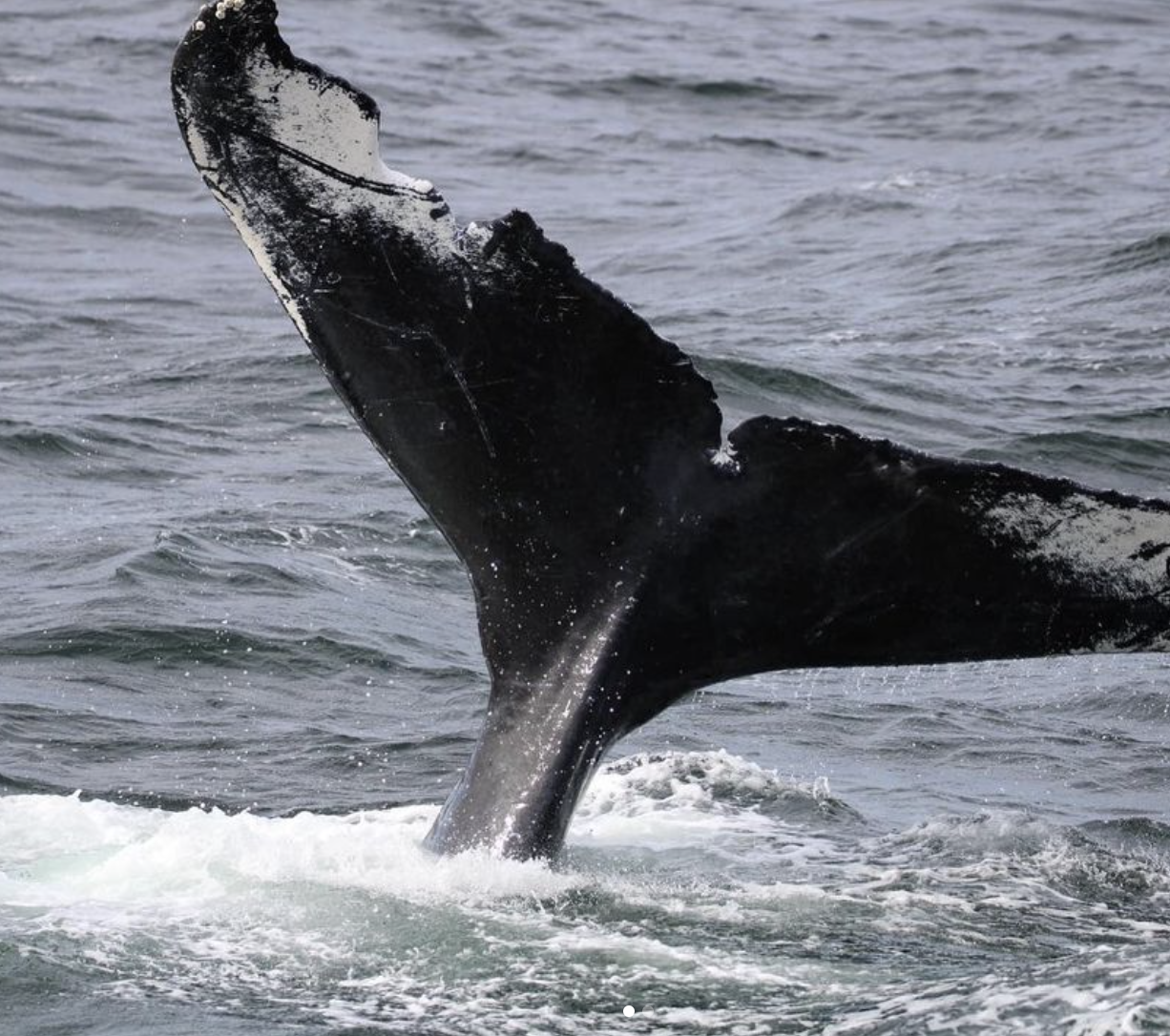 Screenshot 2024-11-09 at 10.04.12 PM.png