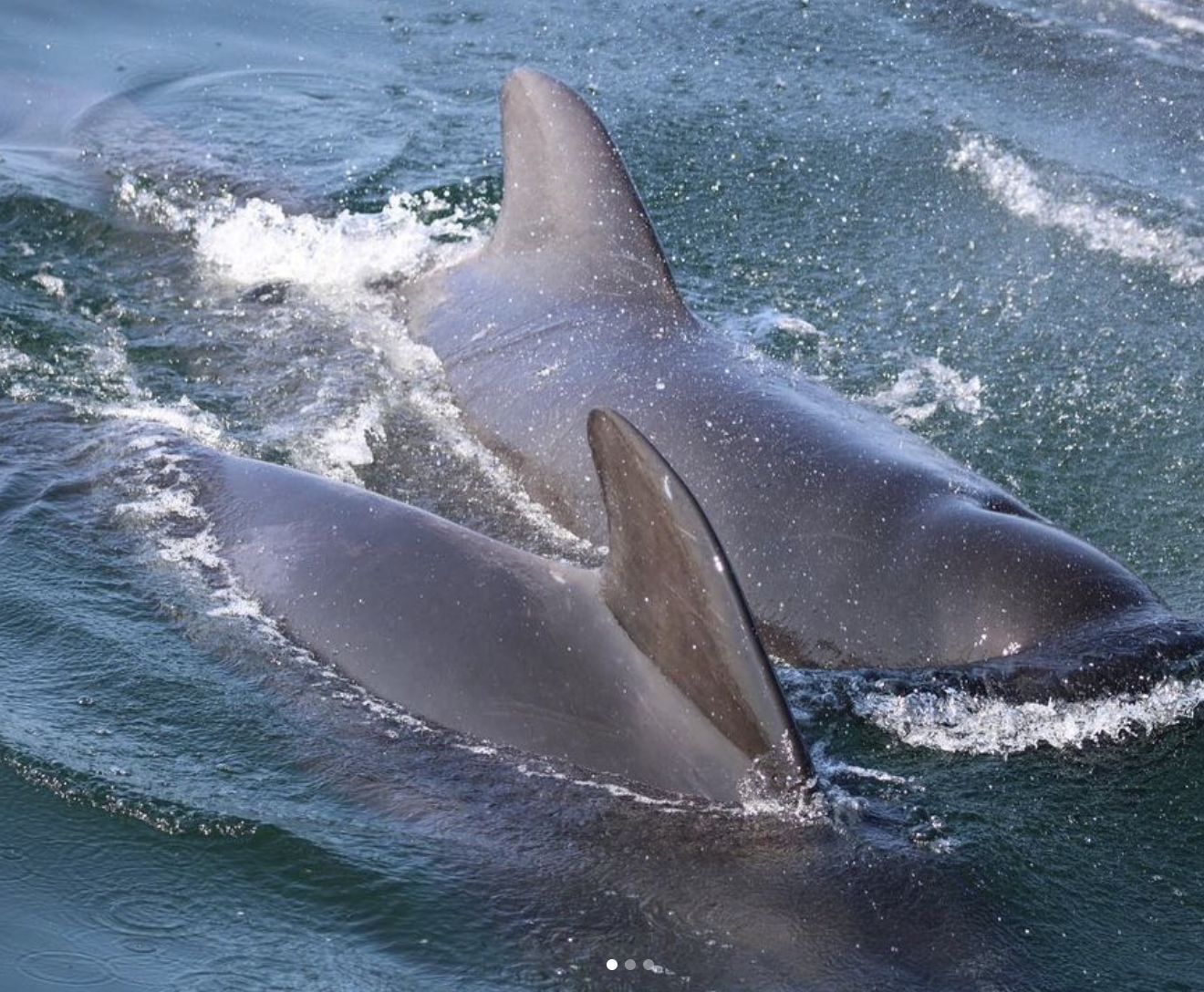 Screenshot 2024-11-09 at 10.03.22 PM.png