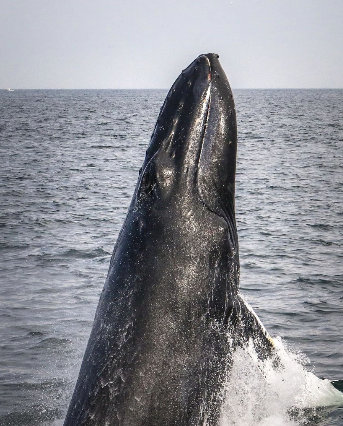 Screenshot 2024-11-09 at 10.03.33 PM.png