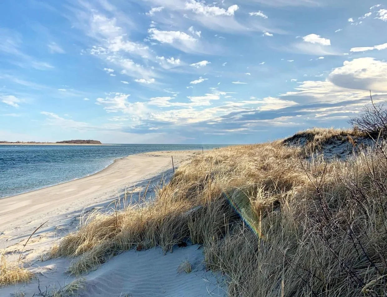 crane-beach-vertical-1240x952.jpg
