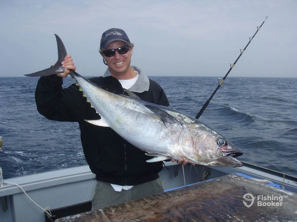 Tuna-gloucester.jpg