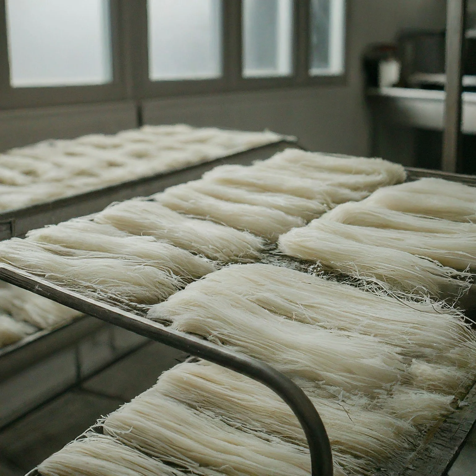 Bundles of fresh, noodles laid out on trays inside a food processing facility.