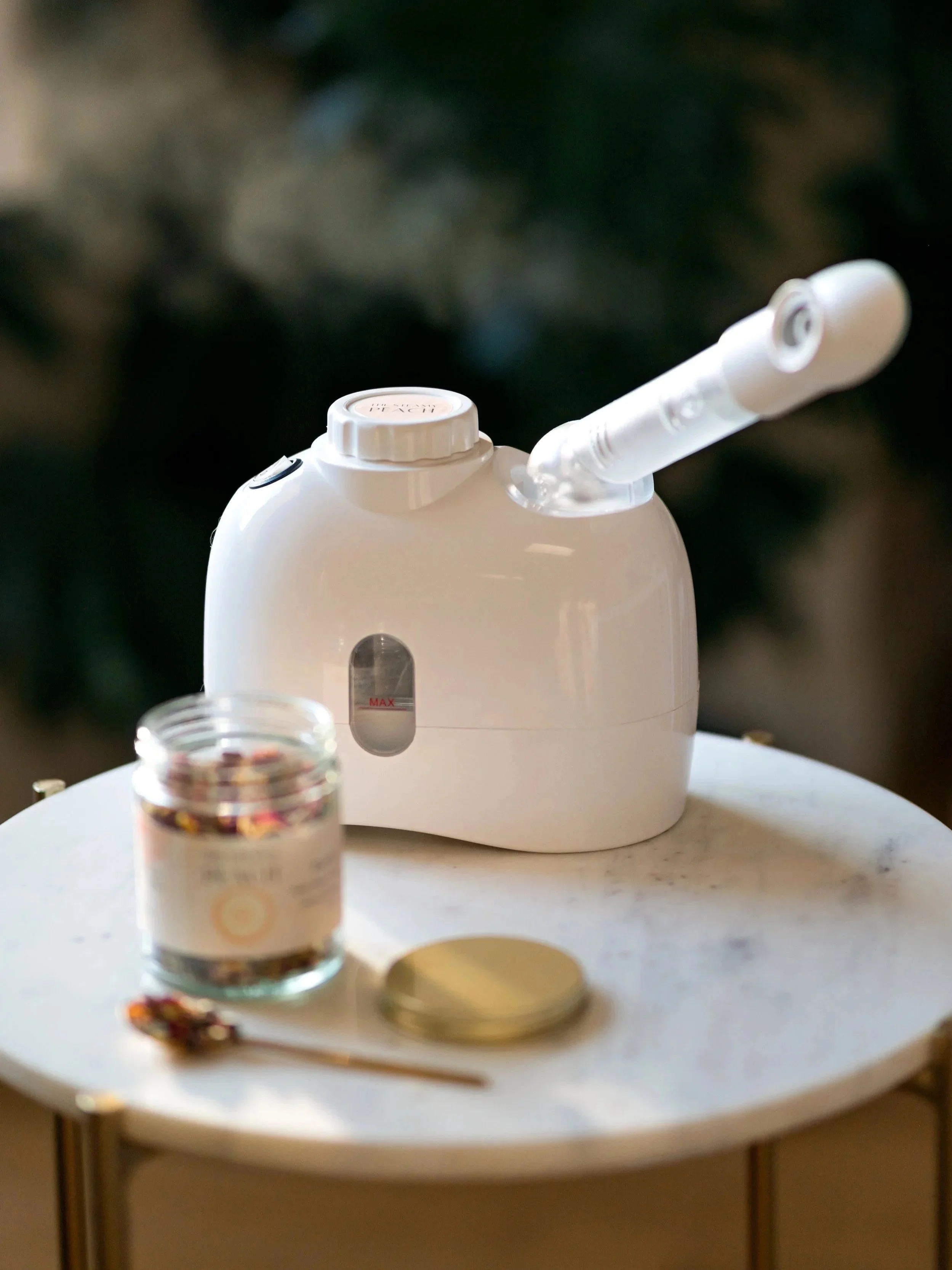 Setting up your Steamy Peach Steamer
