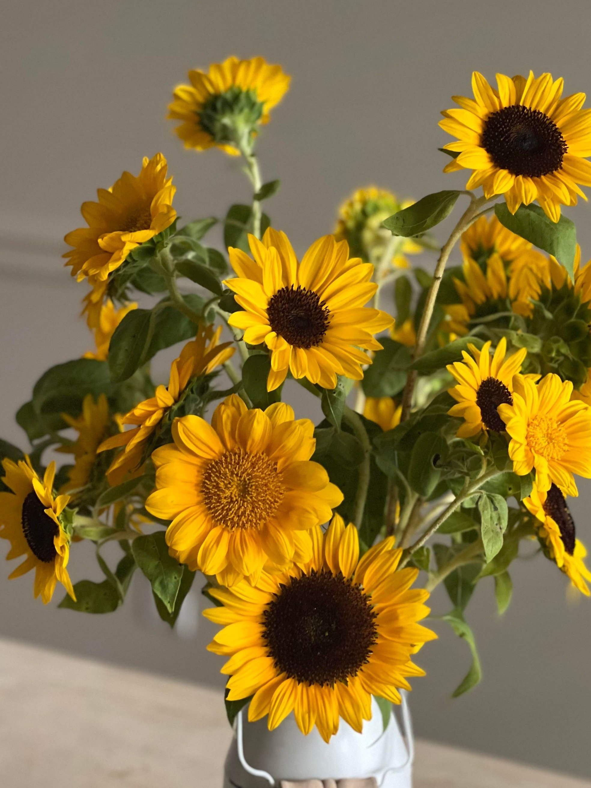 ST florals.jpg