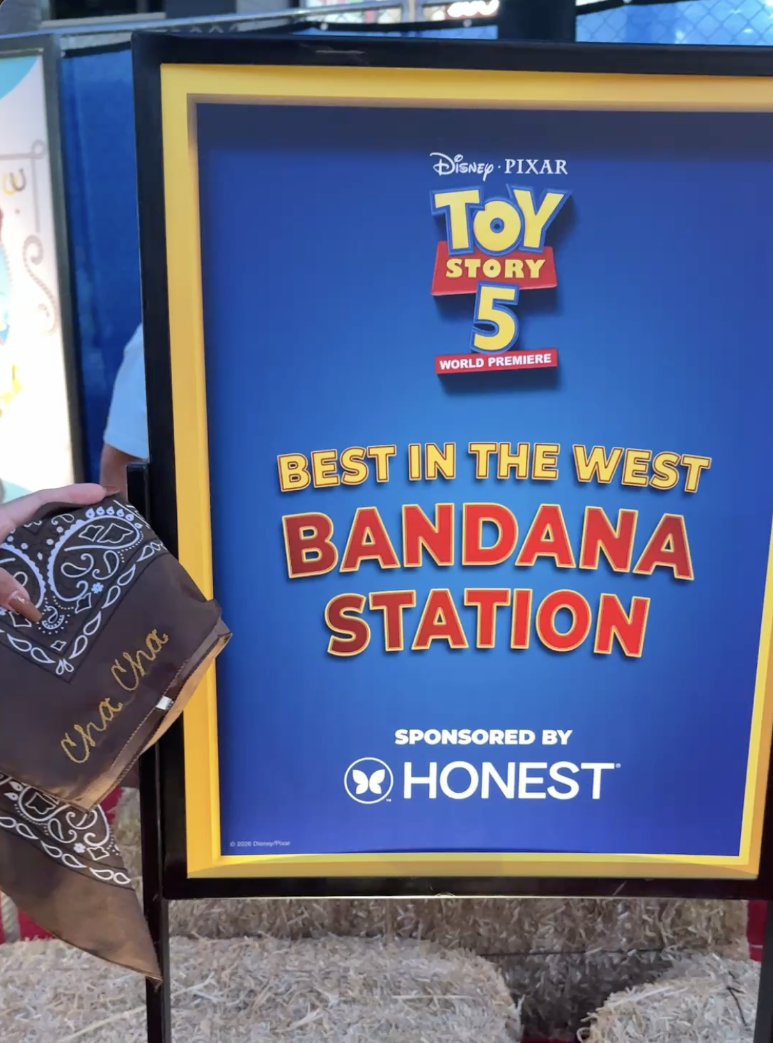 Psychic Stitch - Chainstitch Embroidery - Disney Premiere - Los Angeles 2.png