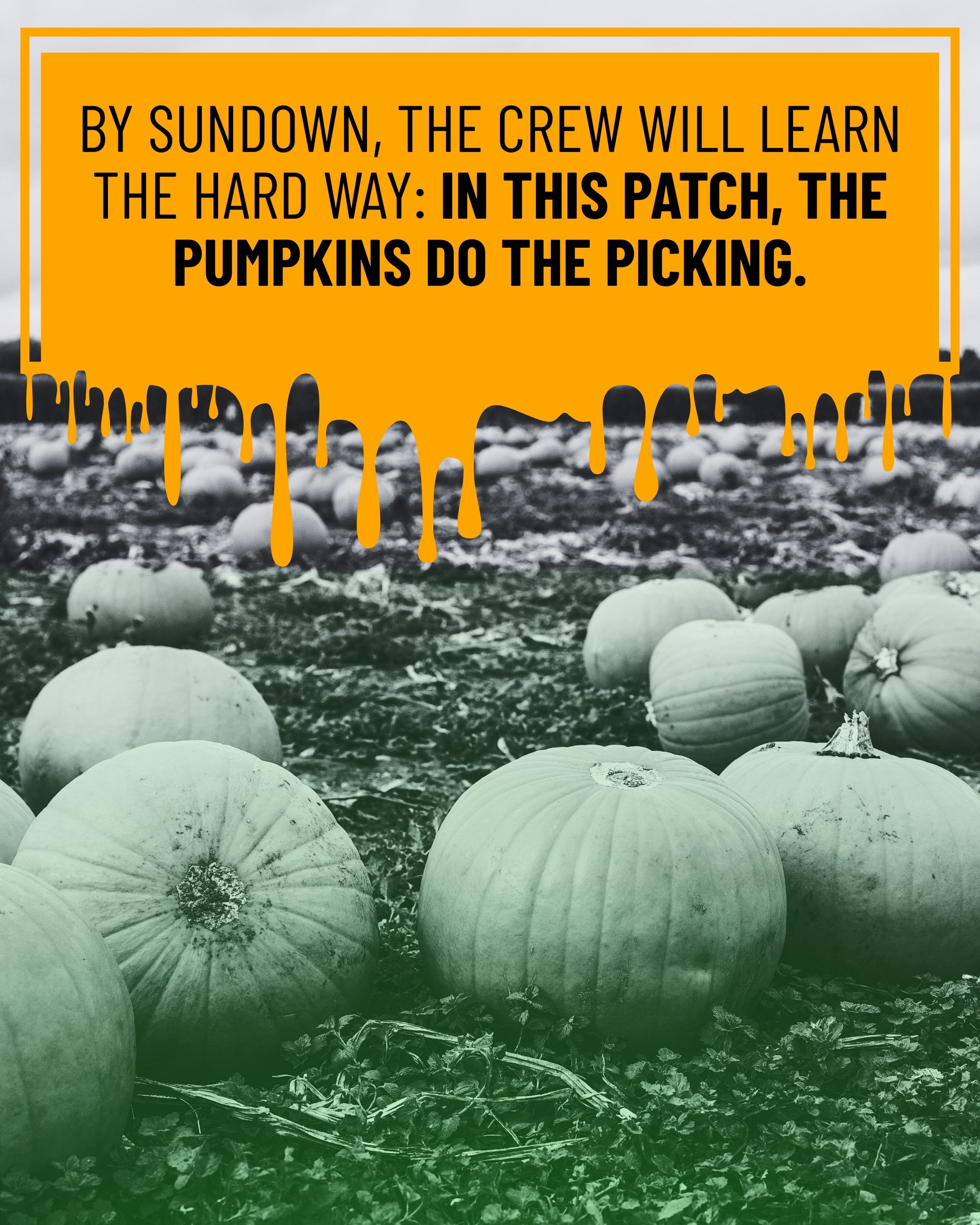 Book tagline: BY SUNDOWN, THE CREW WILL LEARN THE HARD WAY: IN THIS PATCH, THE PUMPKINS DO THE PICKING.

Text is overtop an image of a pumpkin field