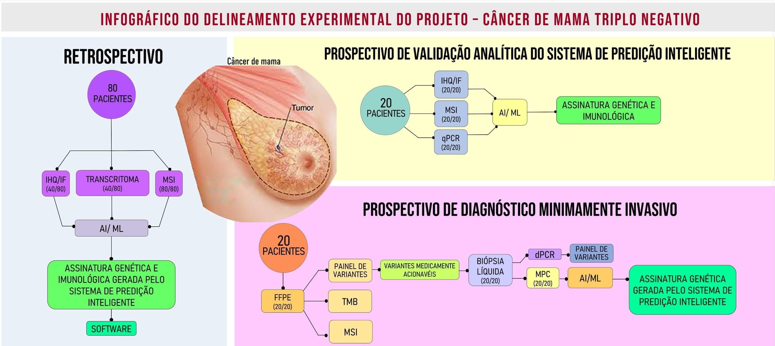 Scientific illustration by Talita Santos showcasing detailed, colorful digital artwork created using Adobe Illustrator and Photoshop, highlighting biological and anatomical concepts for academic and editorial use.