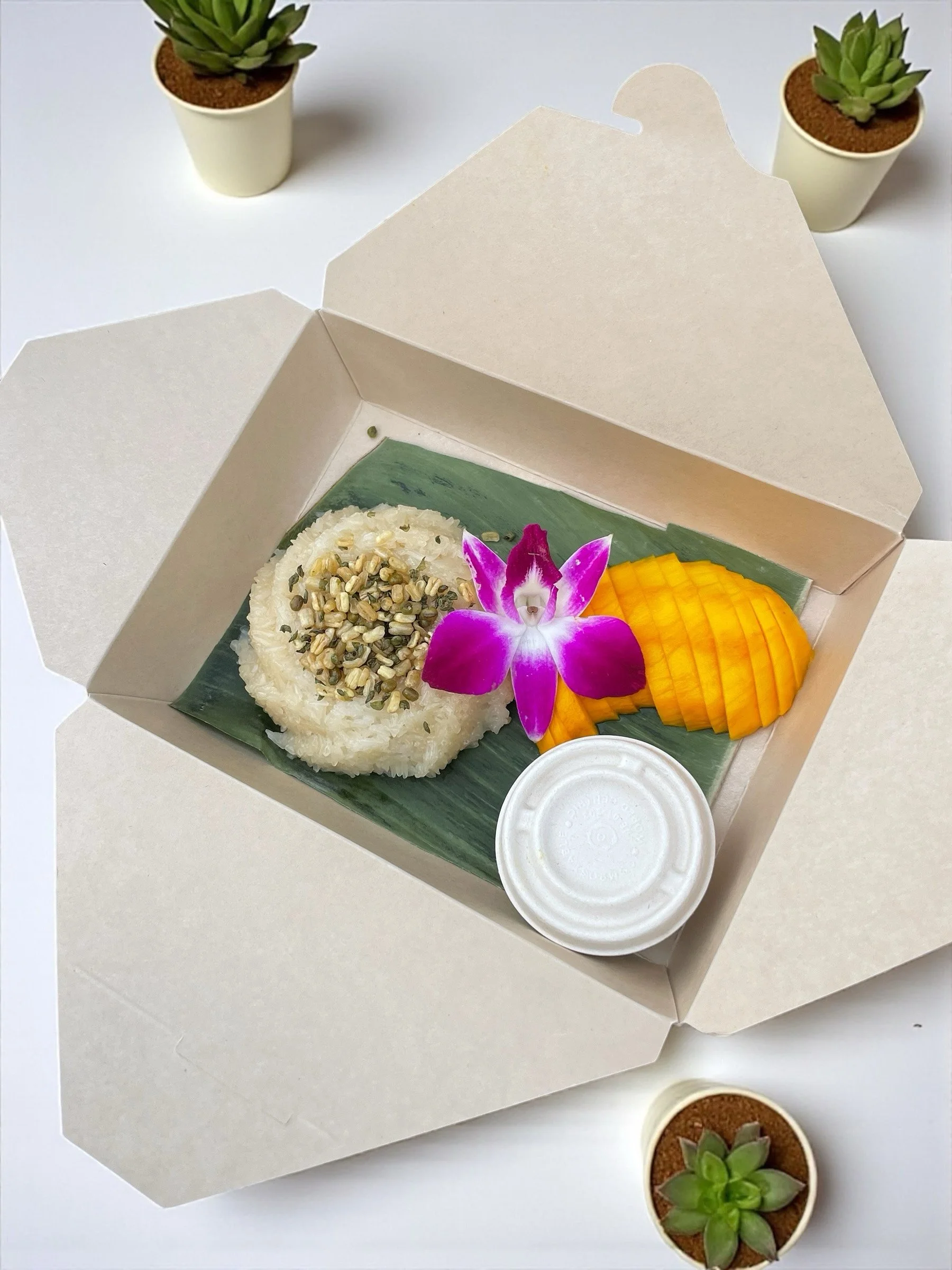 FE2A492D-B159-4D3E-880A-0886F6E9230A 2.JPG