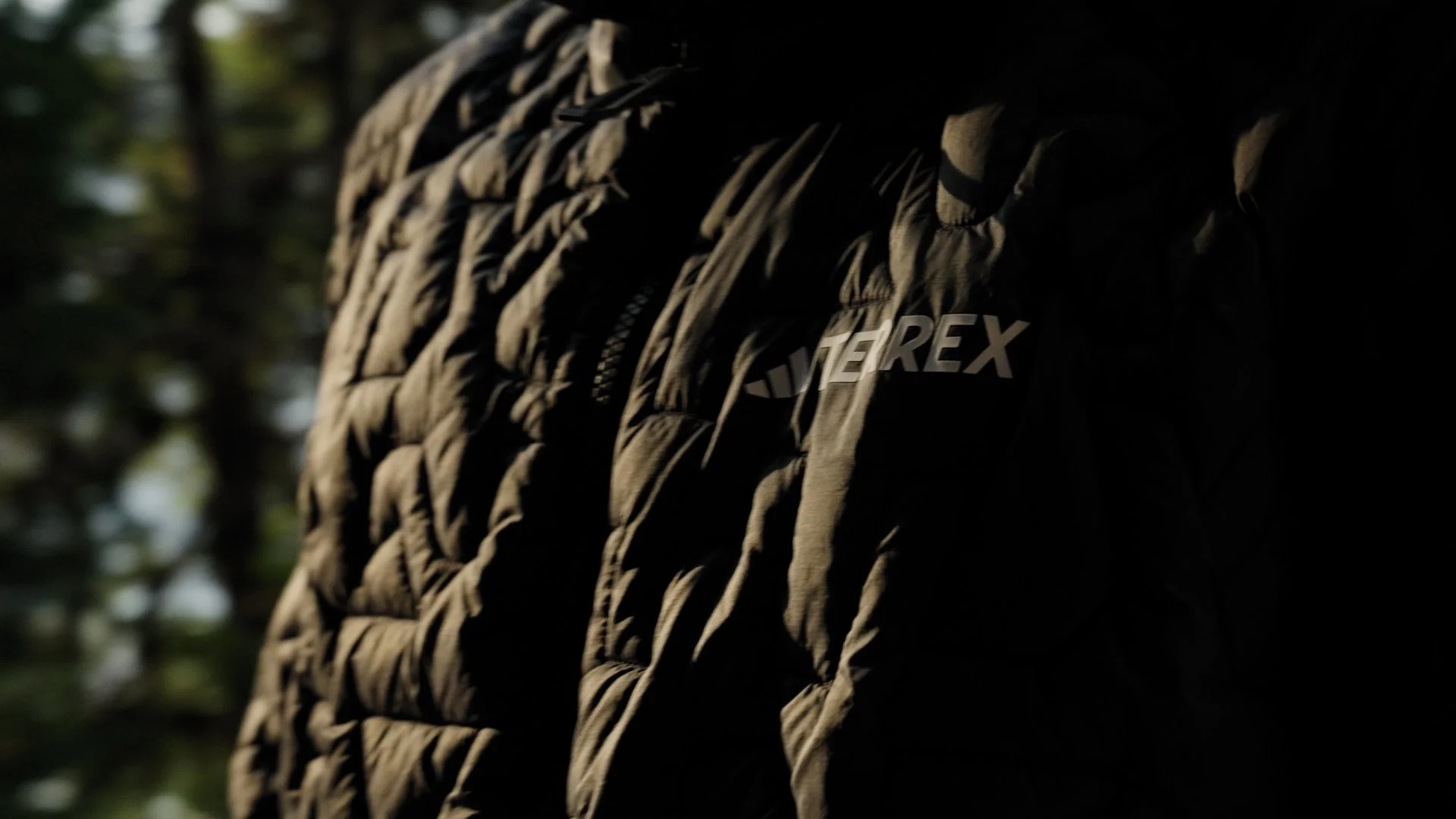 Dreamcatcher V1.00_00_21_15.Still003.JPG