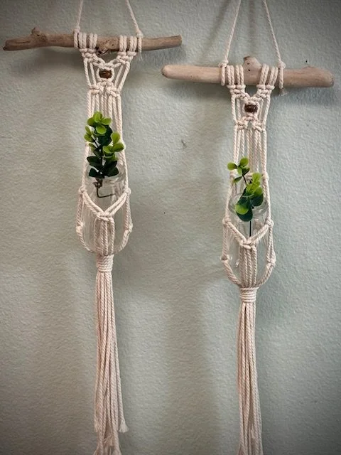 Single Plant Propagation Hanger on Driftwood Make & Take Workshop