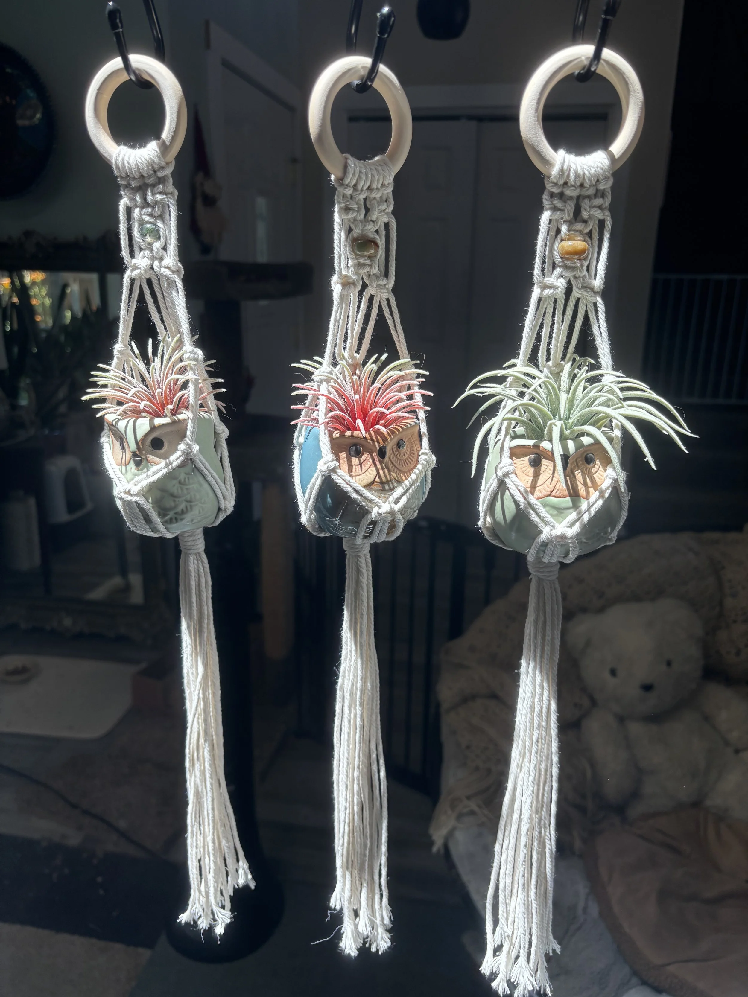 Mini Owl Macrame Hanger