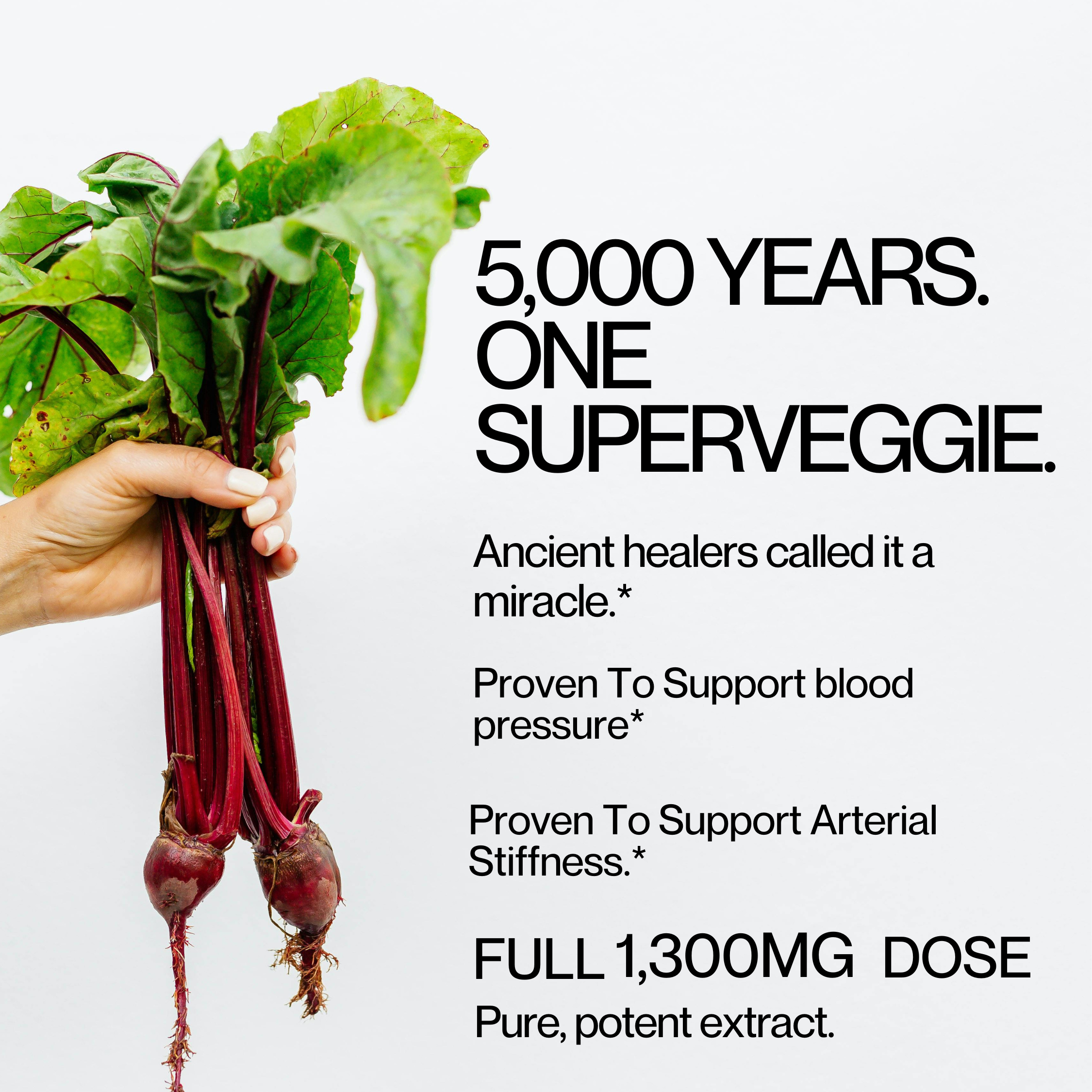 5000 years.png