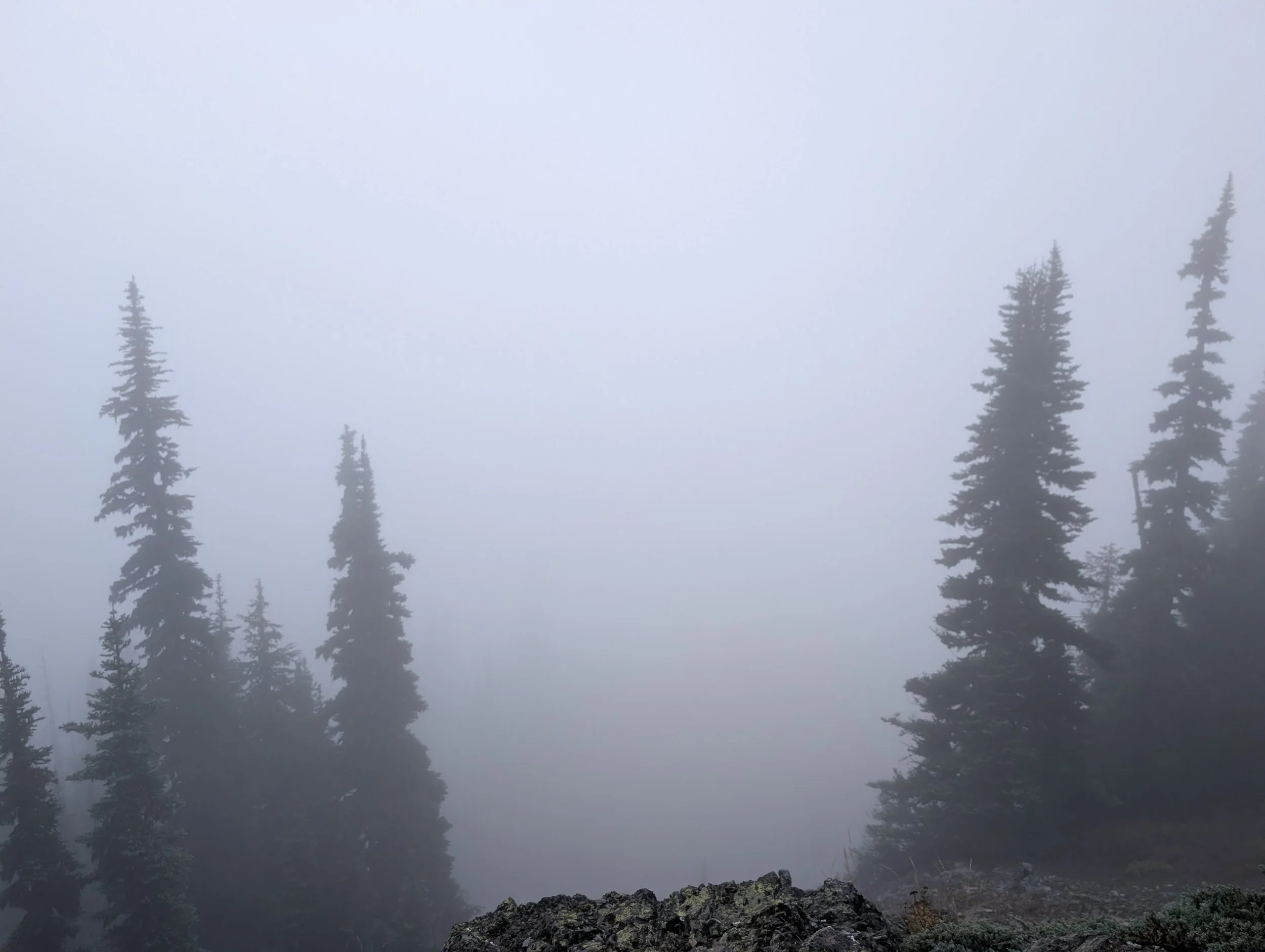 PXL_20260914_174151112.jpg