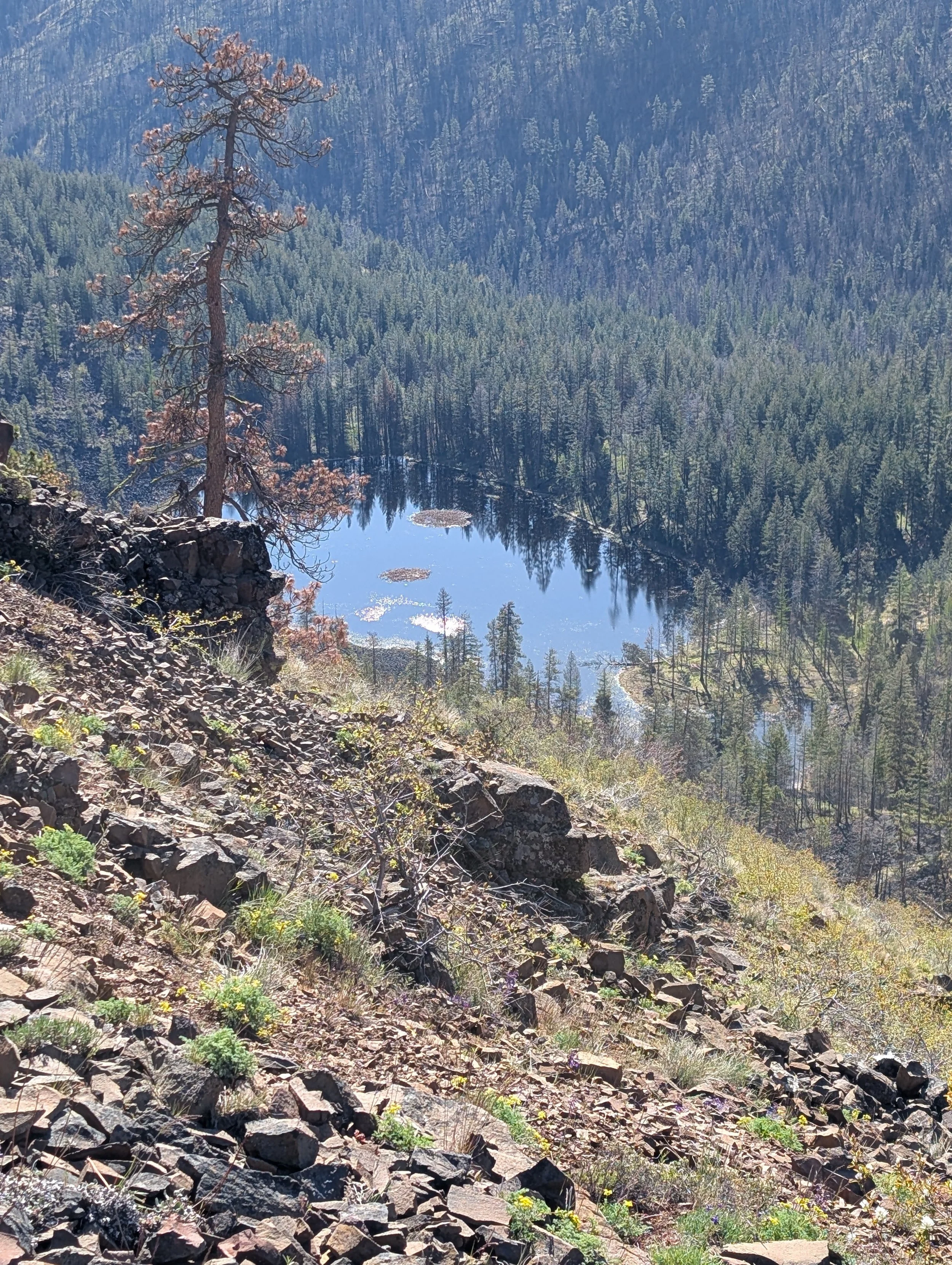 PXL_20260427_163712174.jpg