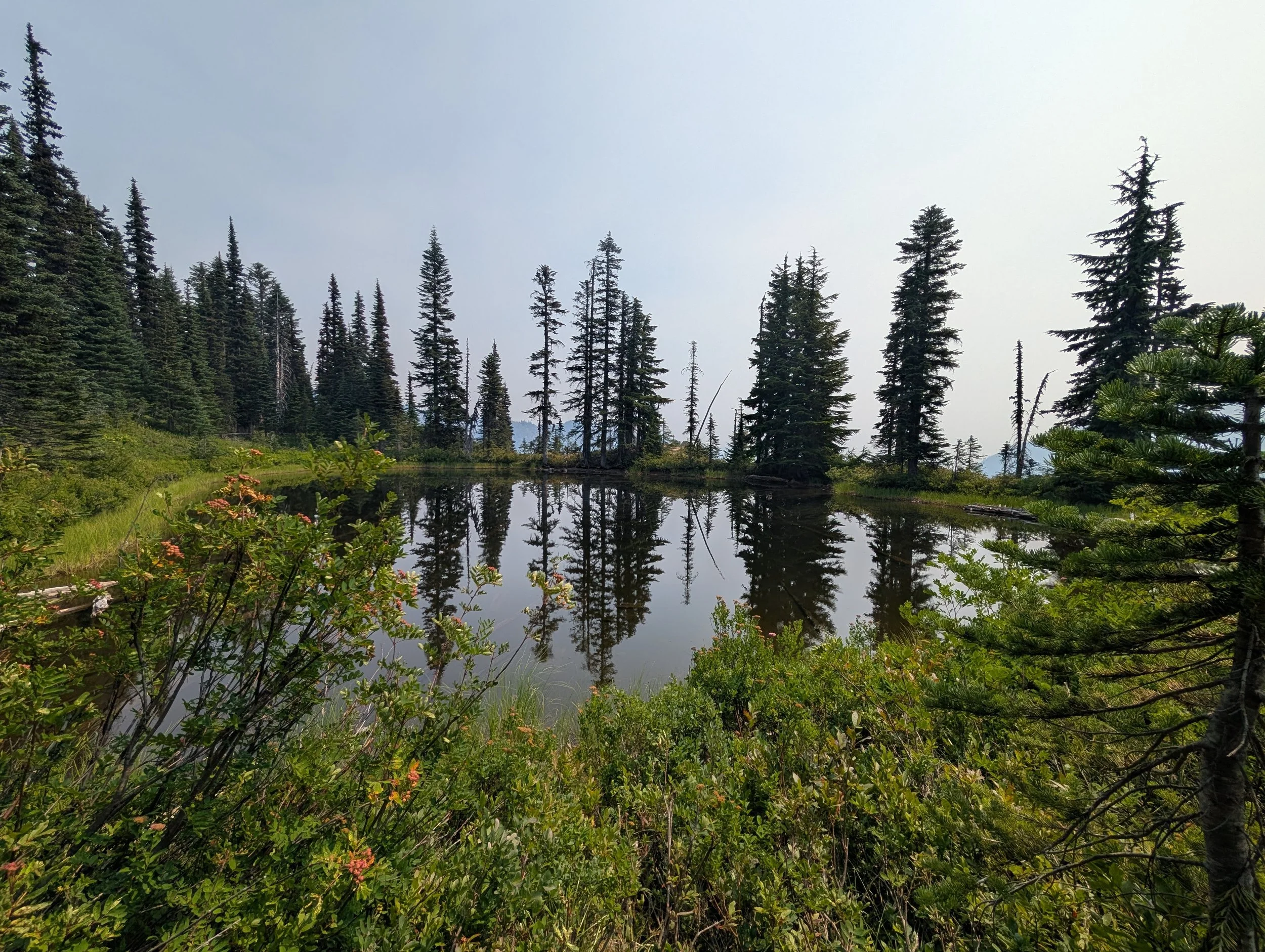 PXL_20260803_192828290.jpg