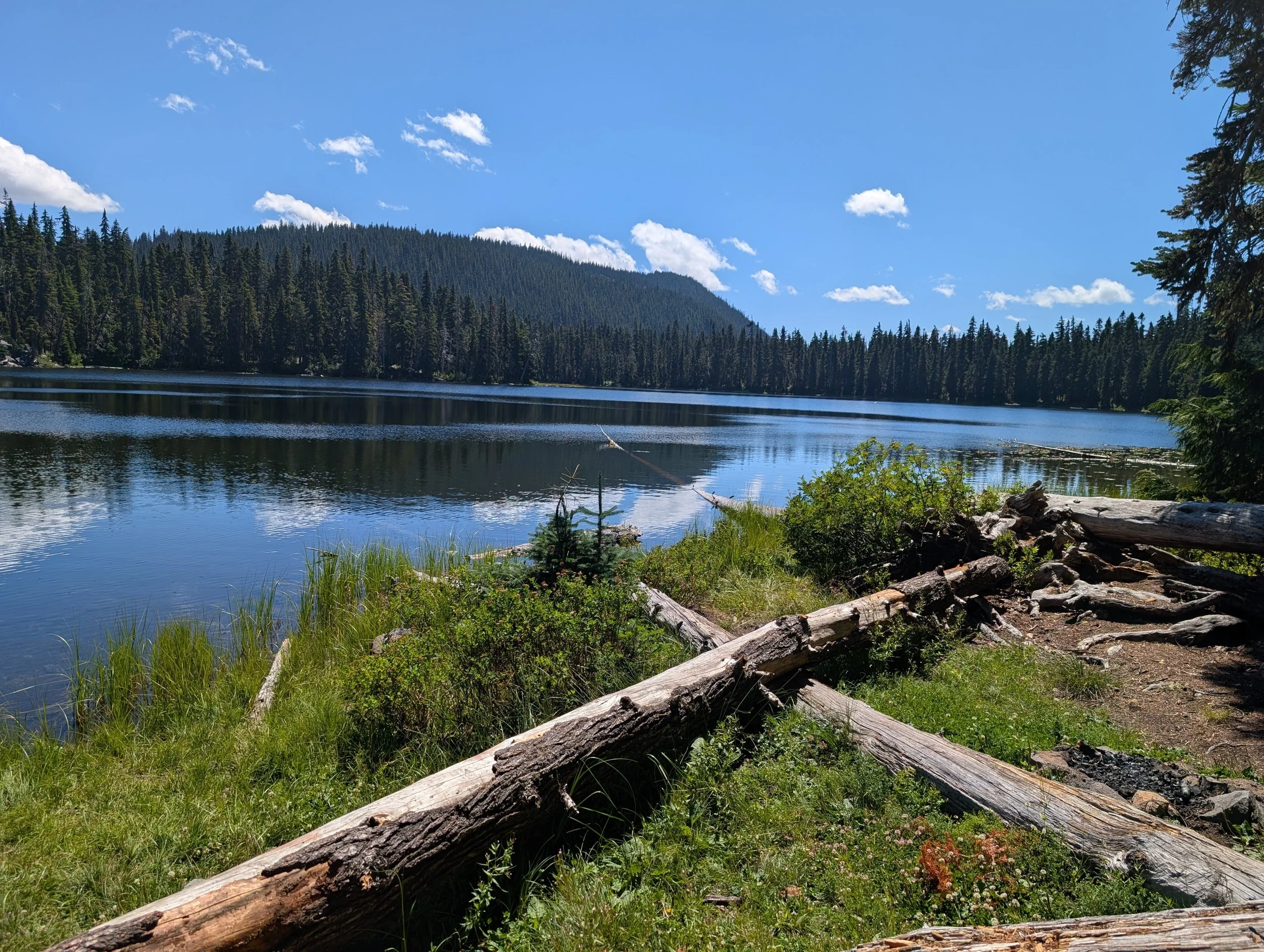 PXL_20260727_195406402.jpg