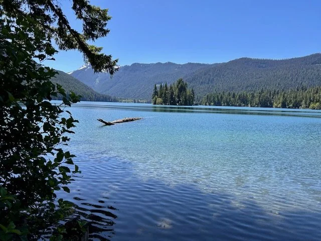 IMG_7250.jpg